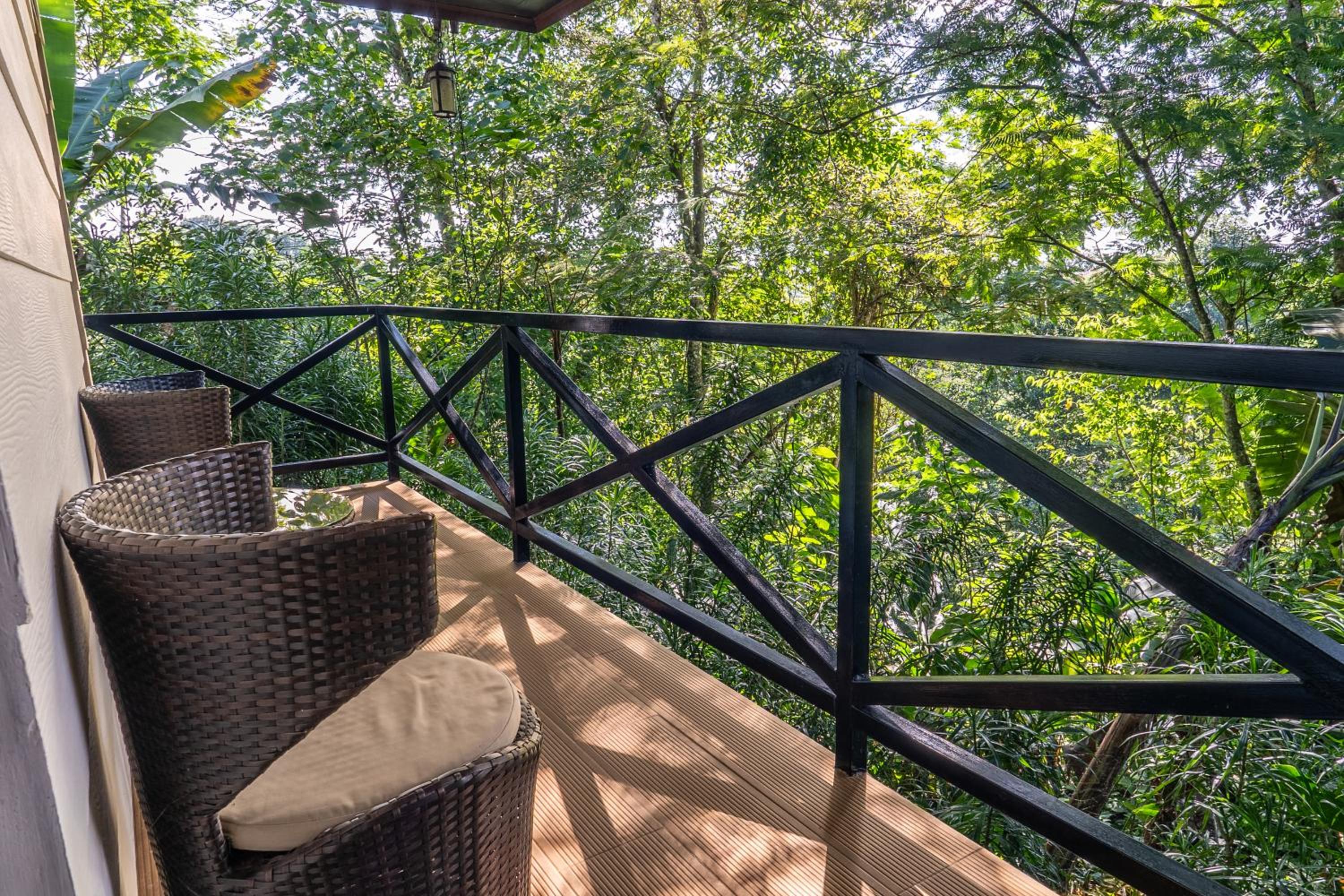Studio with Balcony photo 3