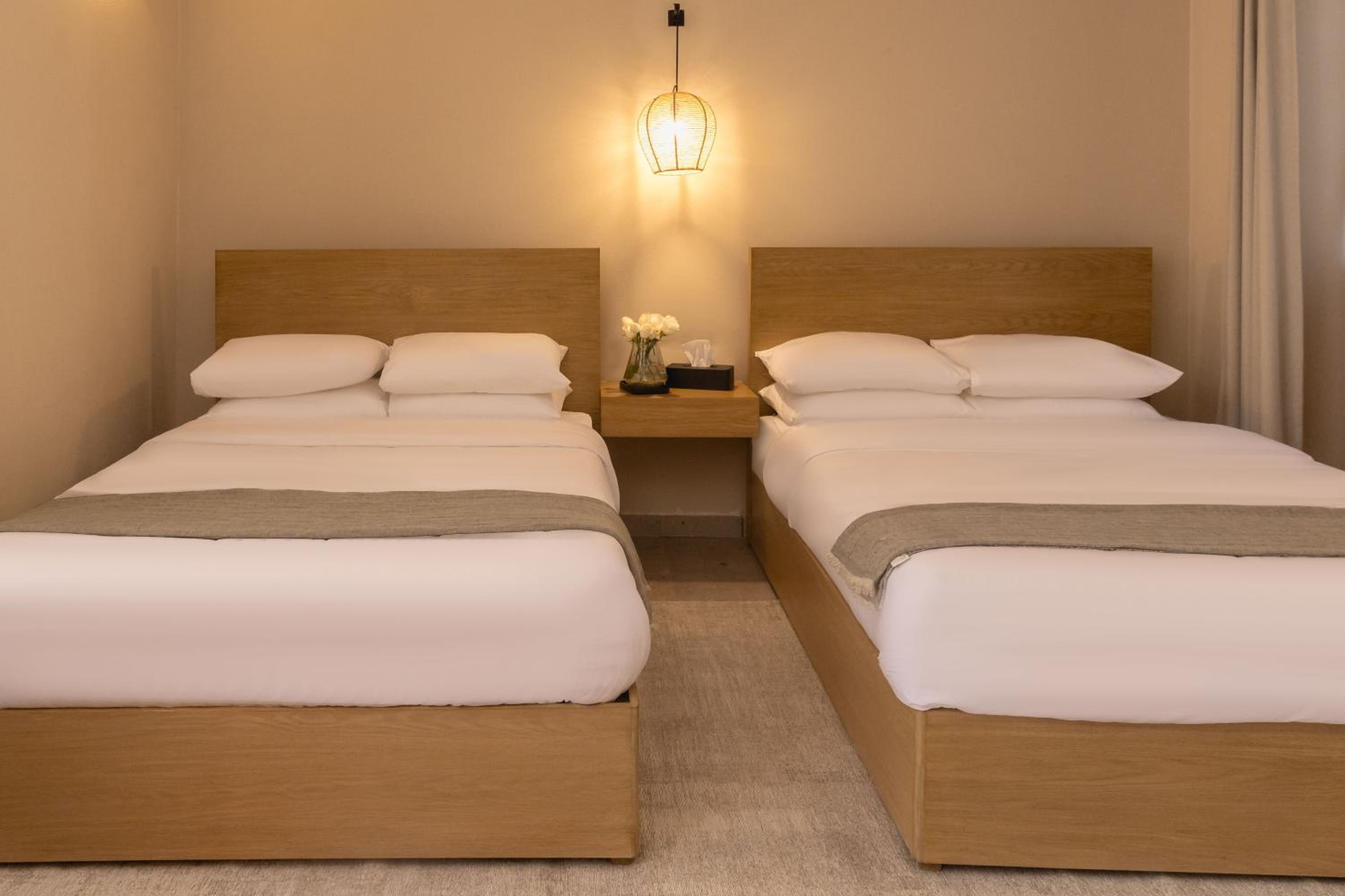 Standard Double Suite photo 1