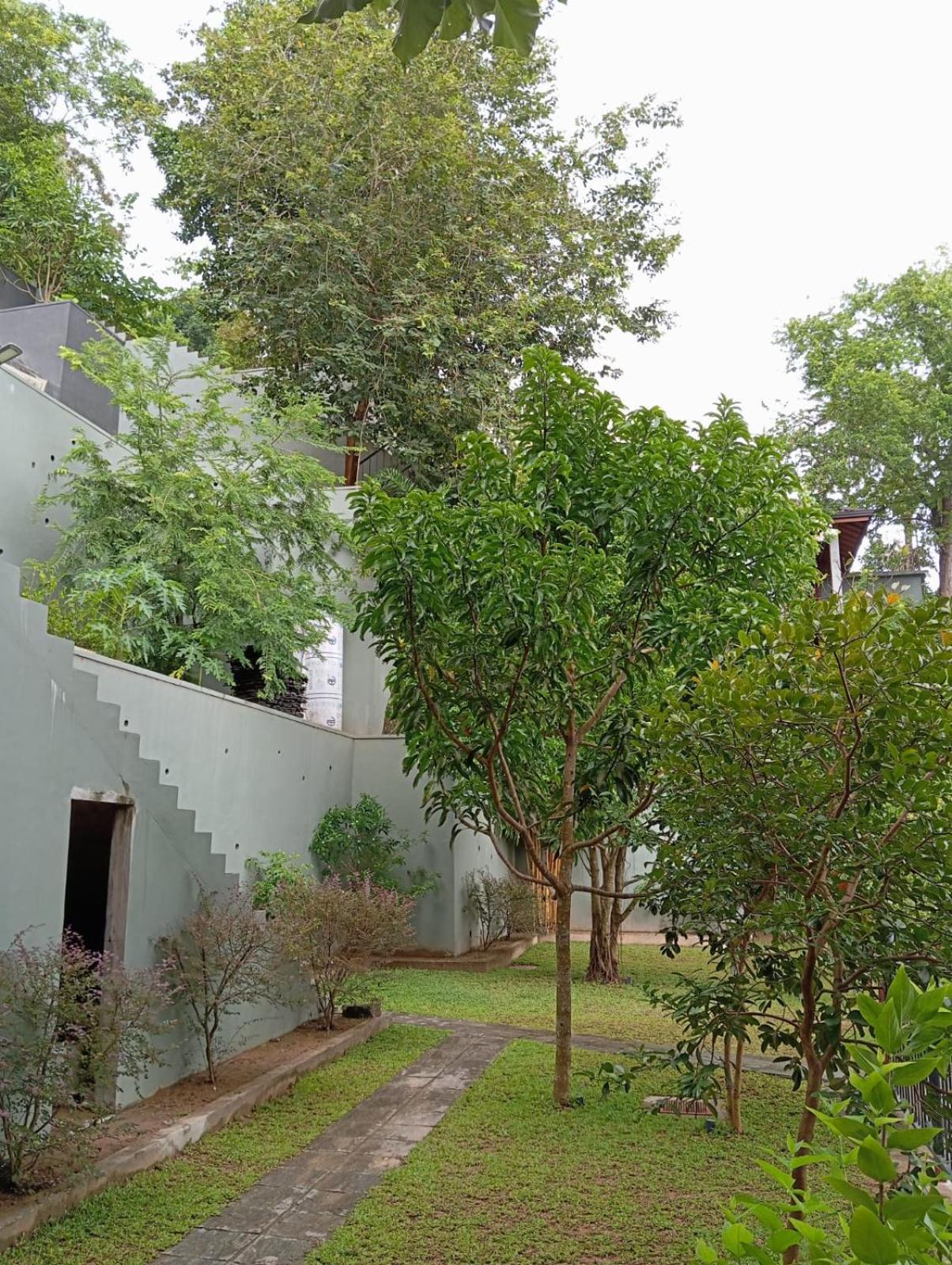Triple Room With Mountain View photo 2