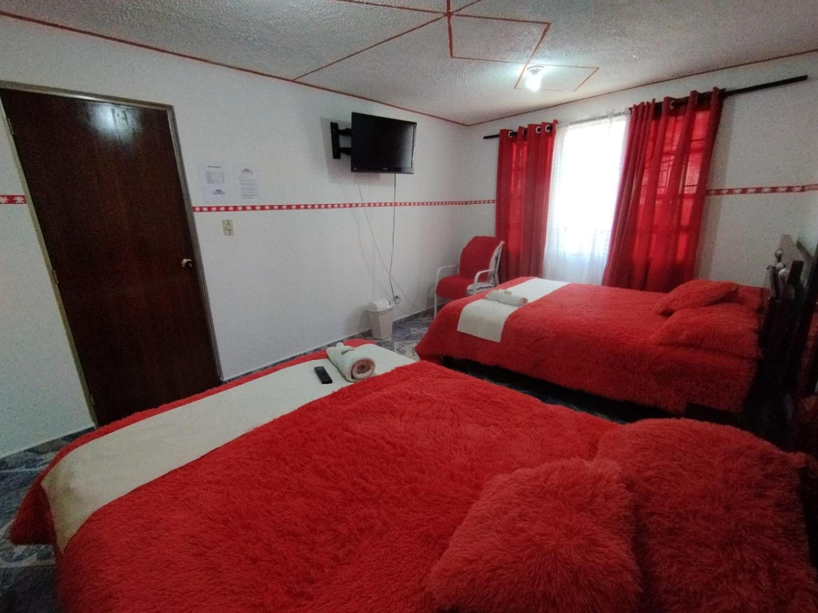 Double Room with Two Double Beds