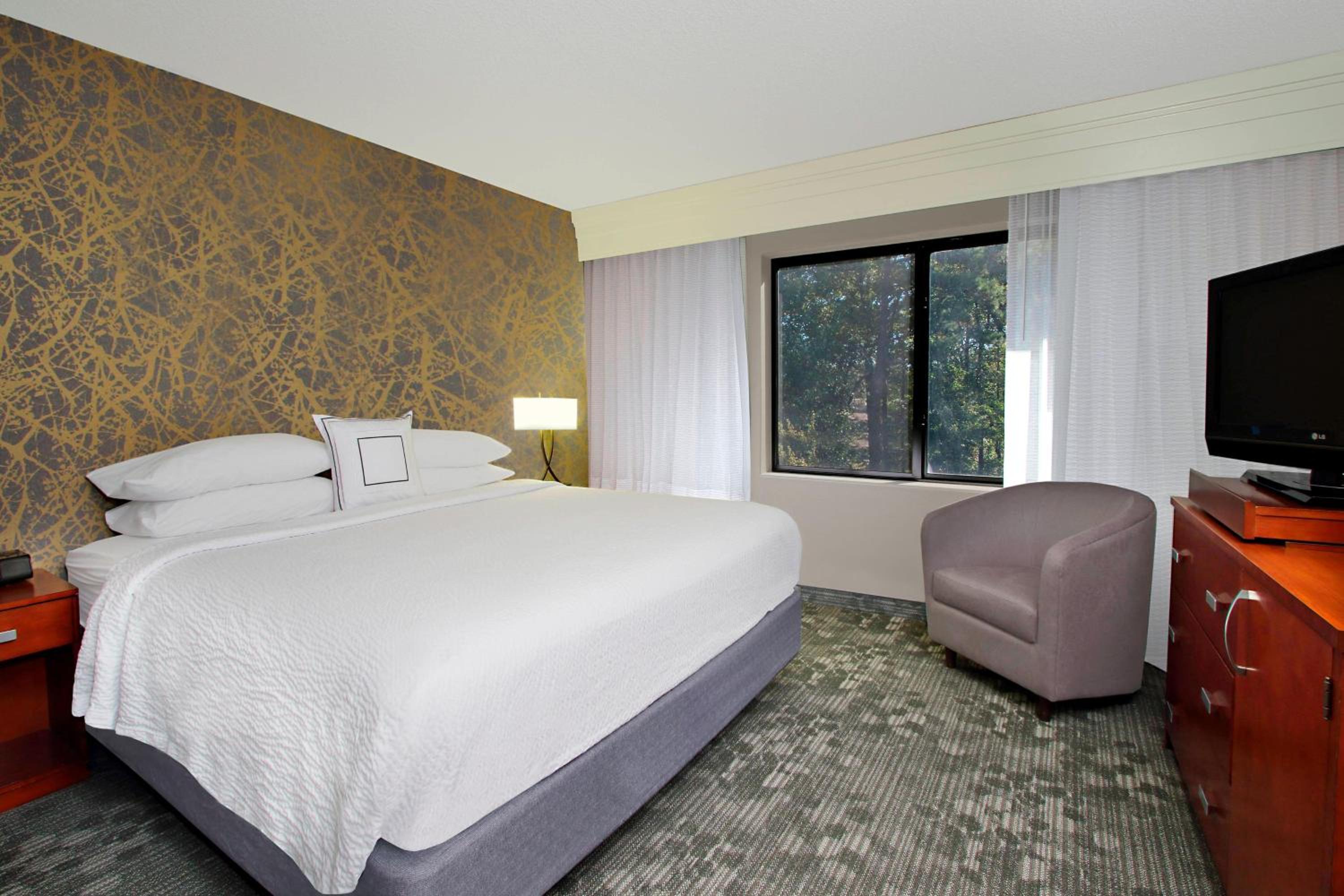One-Bedroom Suite - Photo 3