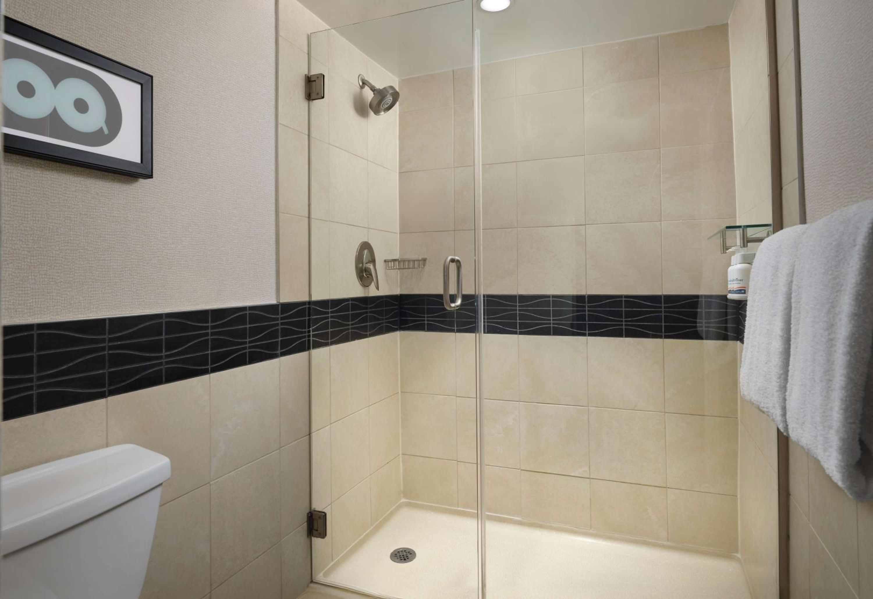Studio Suite King - Photo 3