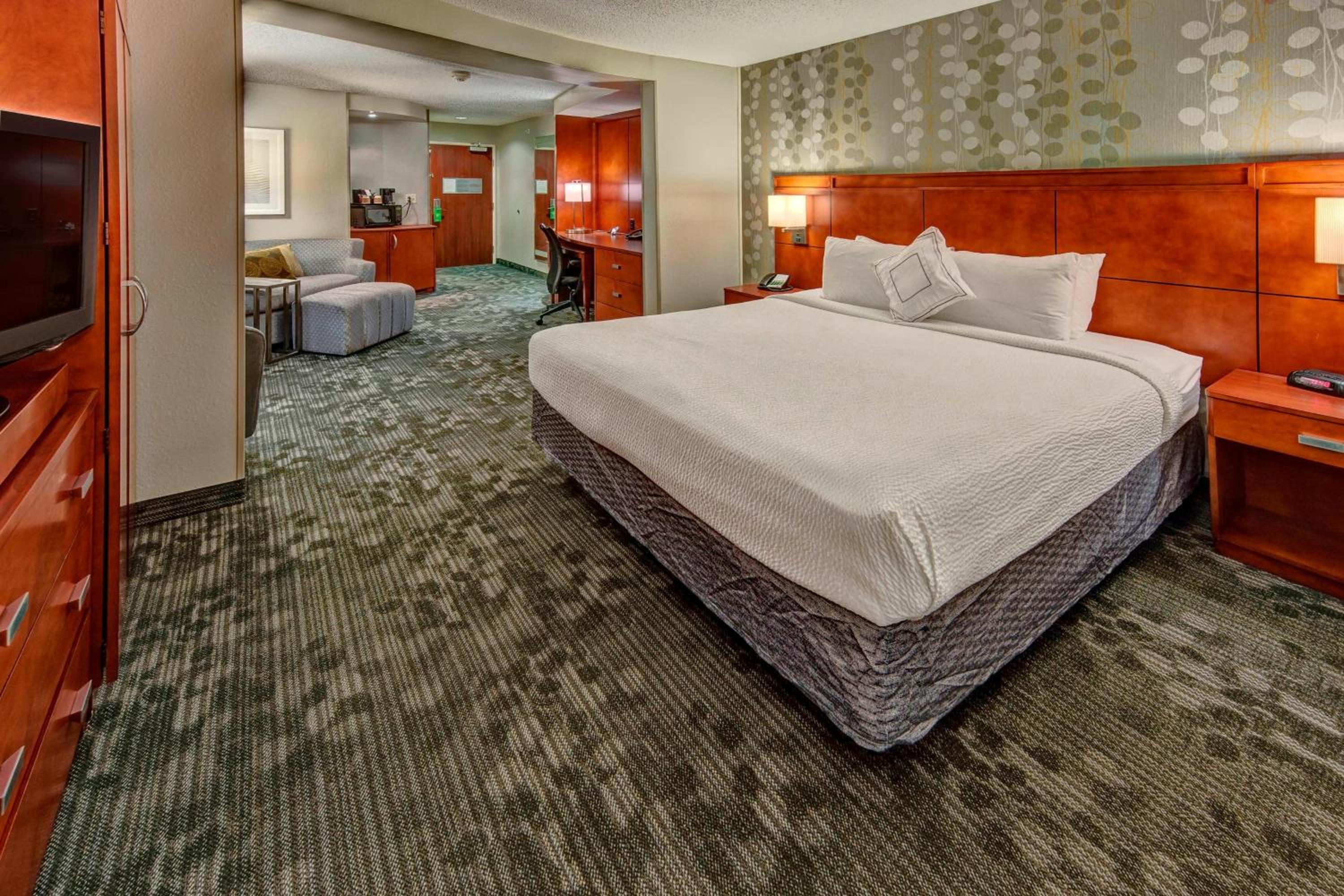 King Suite with Sofa Bed - Hearing Accessible - Photo 1