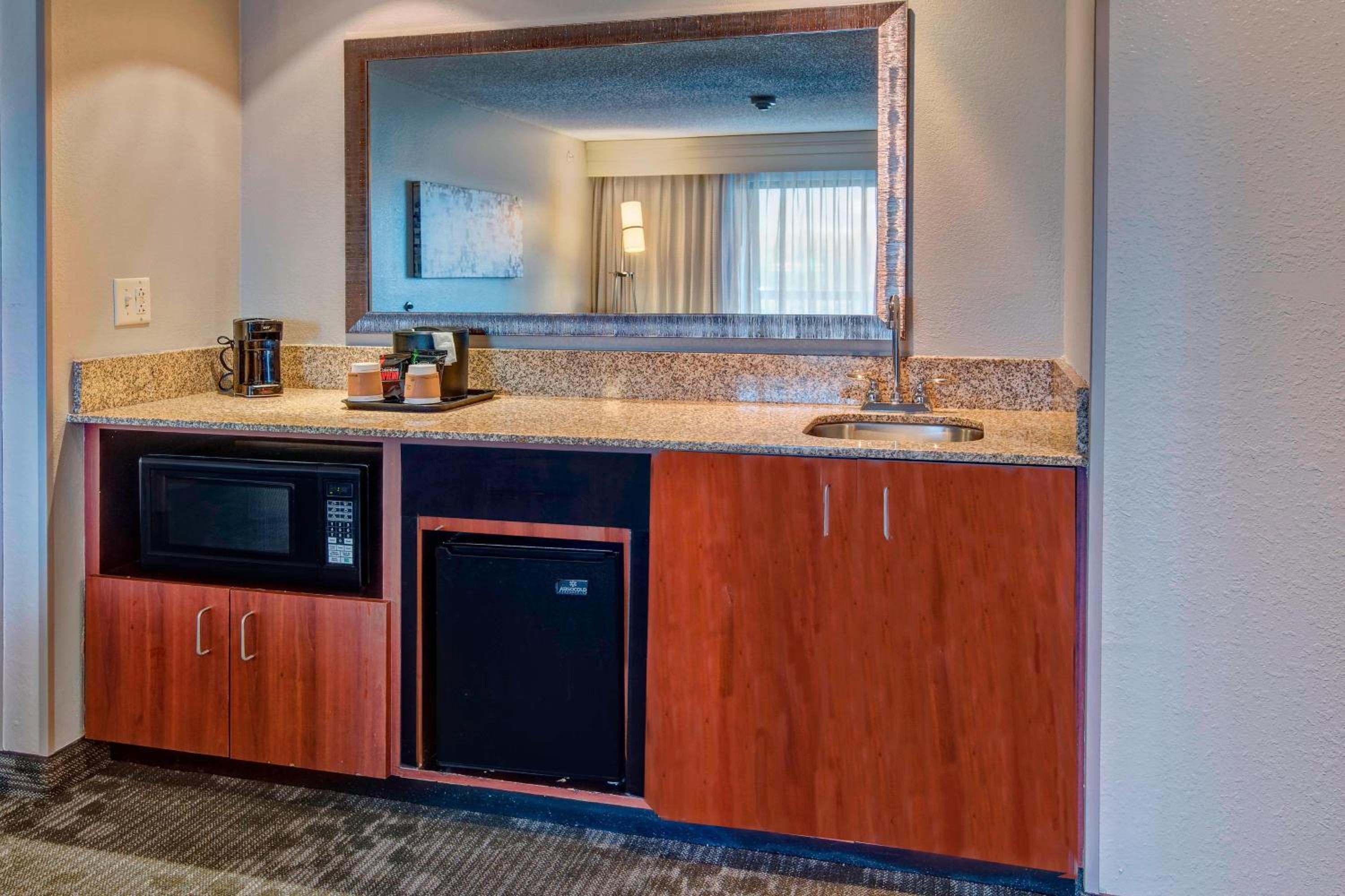 One-Bedroom King Suite - Photo 4