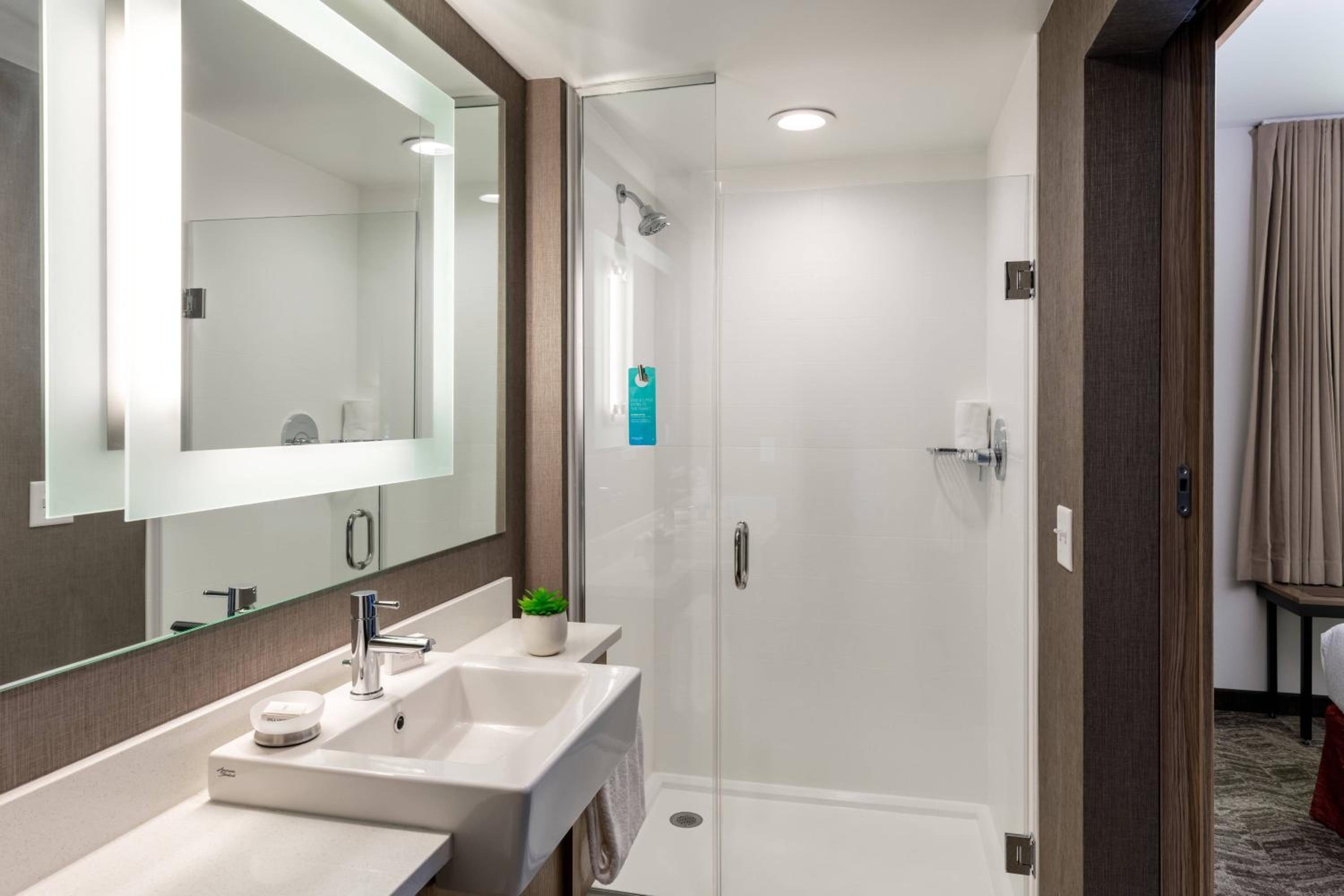 King Suite photo 2
