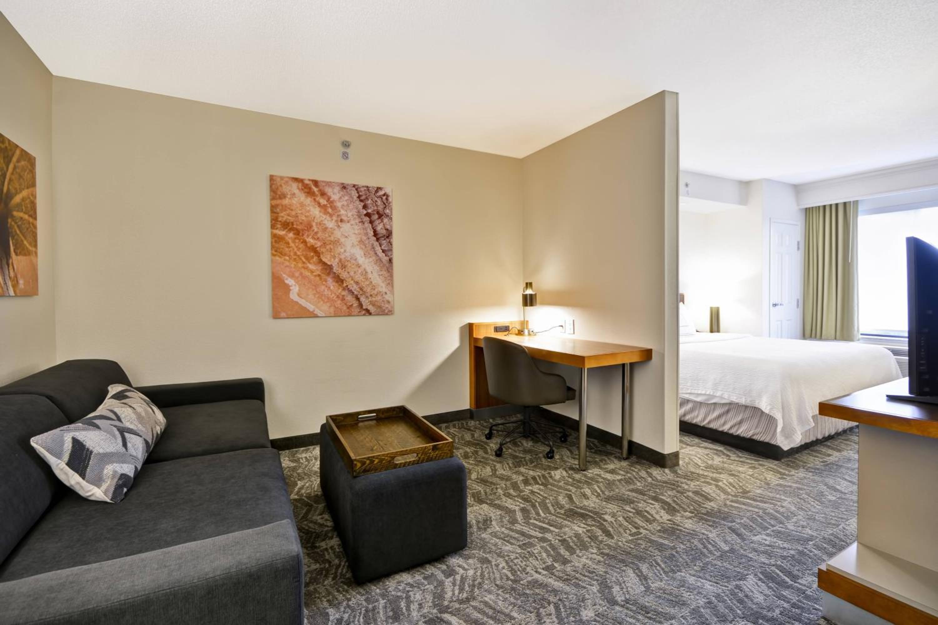King Suite with Sofa Bed - Photo 1