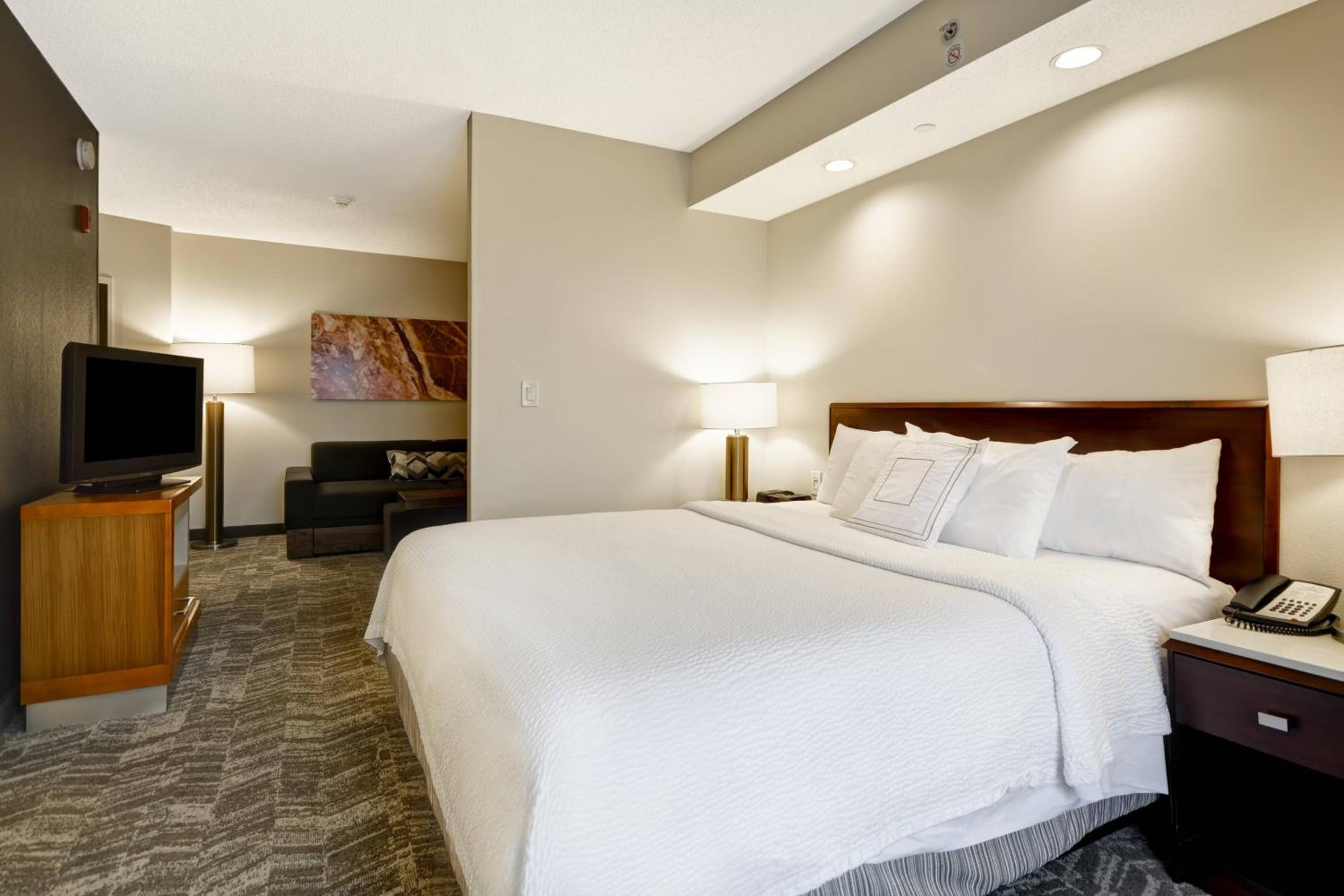King Suite with Sofa Bed - Photo 2