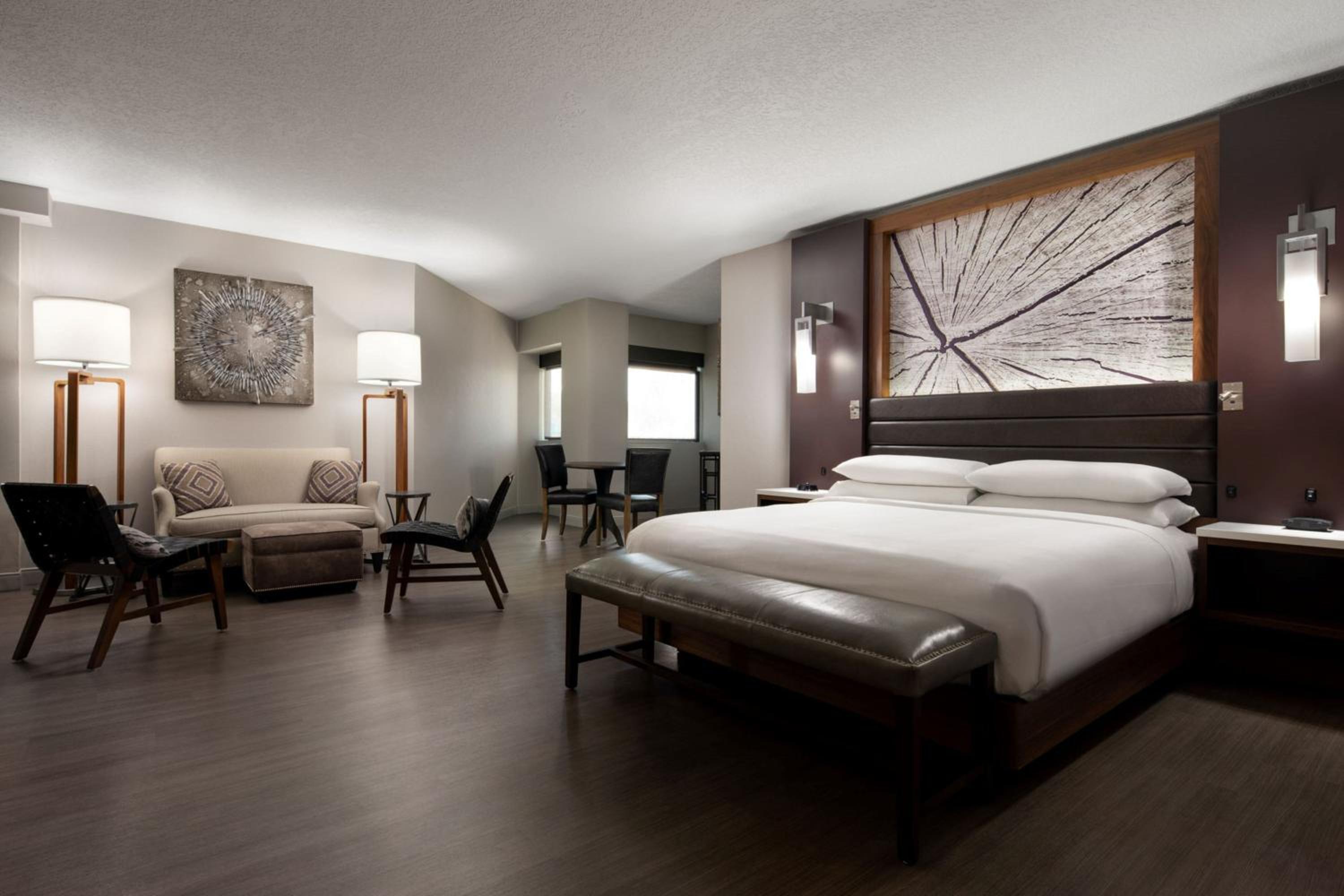 Junior King Suite with Sofa Bed - Photo 3
