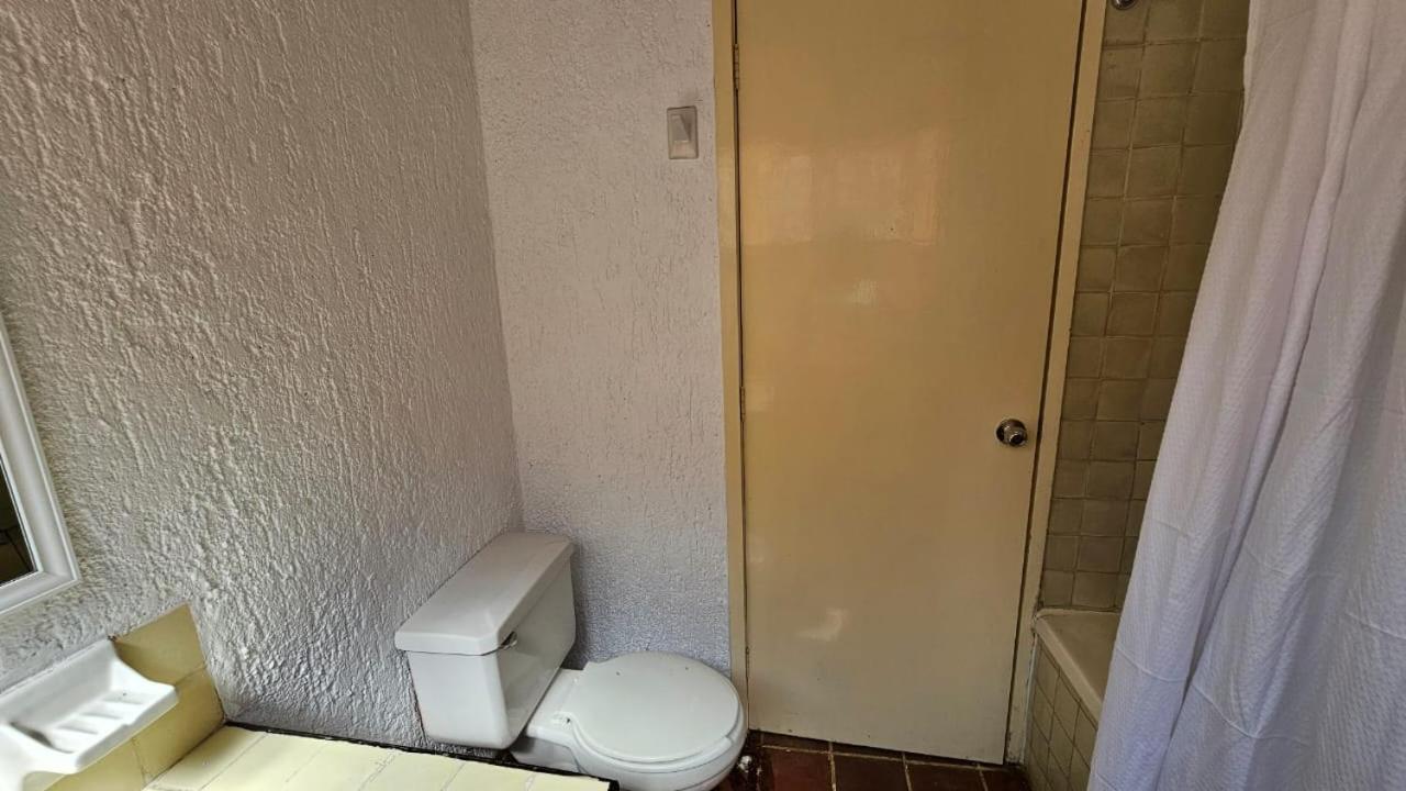 Apartment - Photo 8