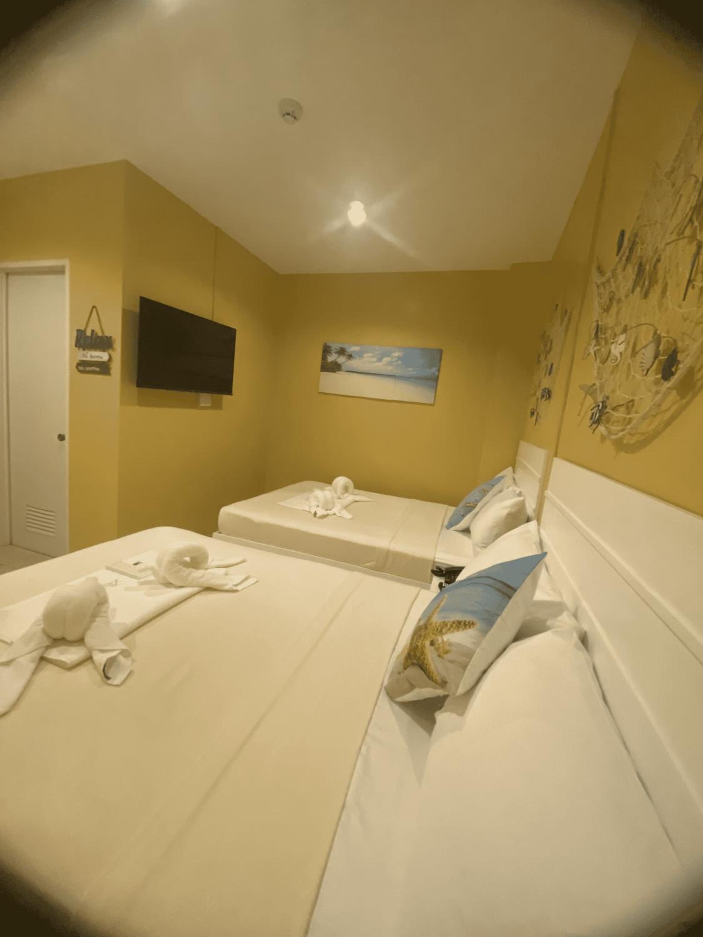 Quadruple Room - Photo 3