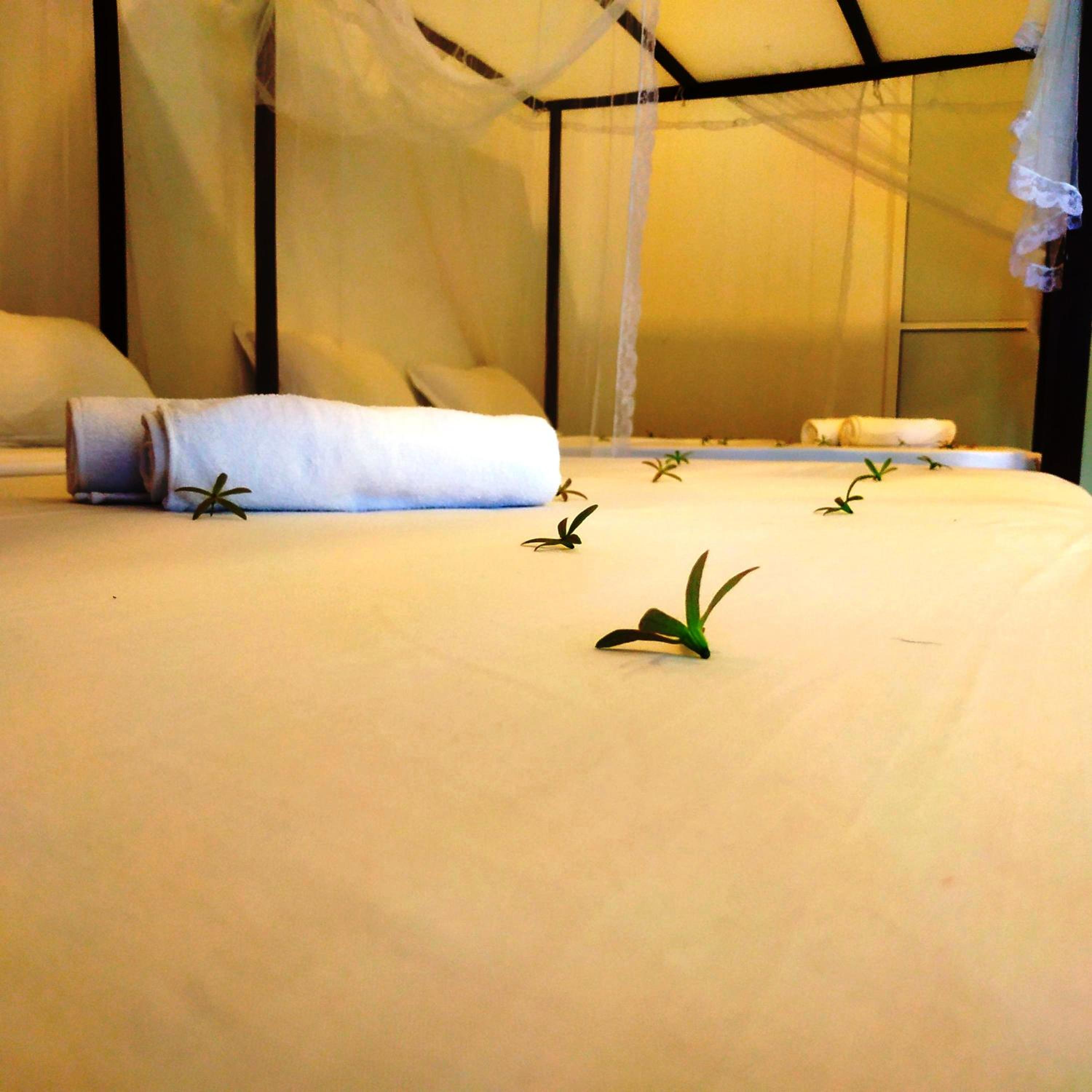 Luxury Quadruple Room