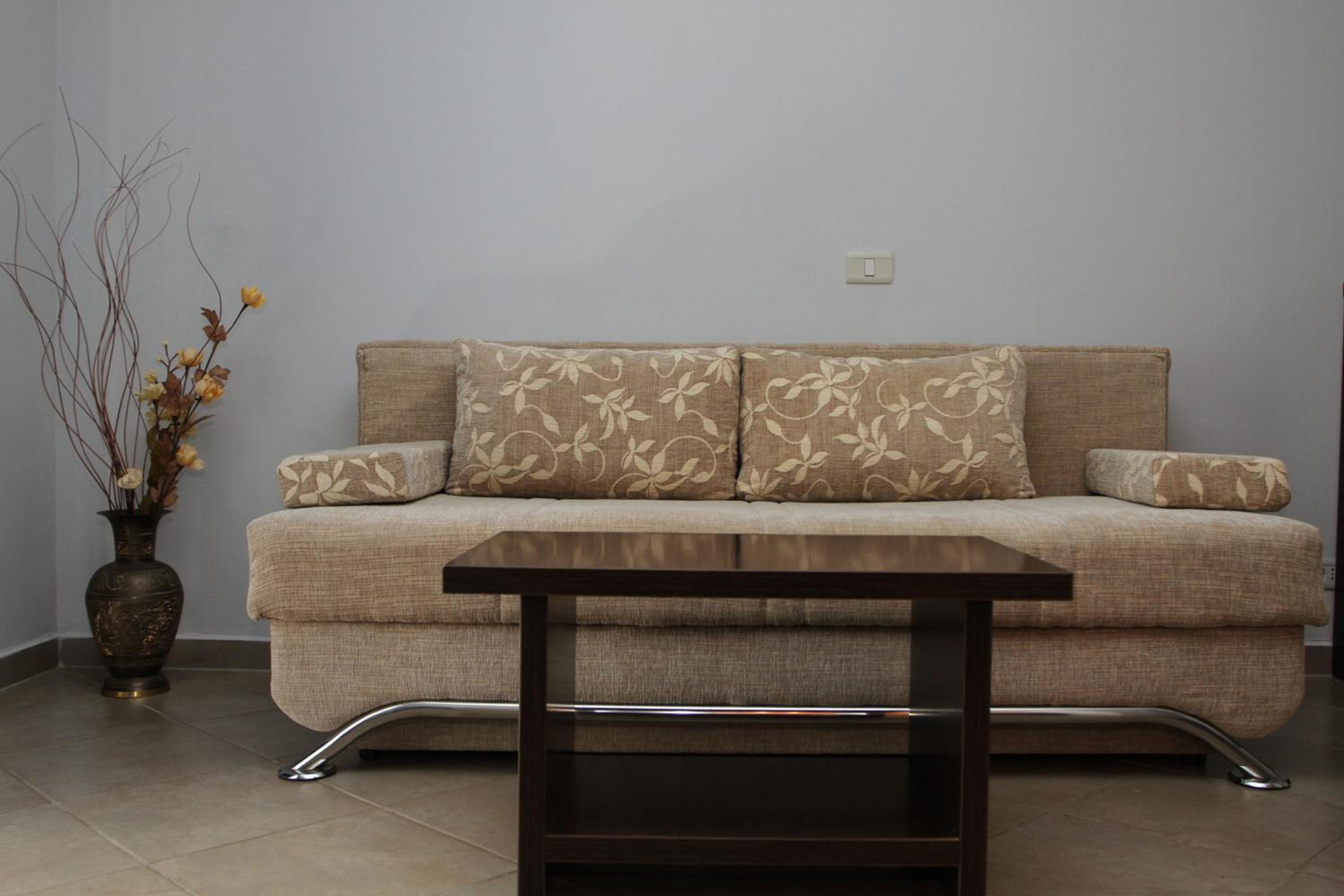 One-Bedroom Apartment with Sofa Bed - Photo 9