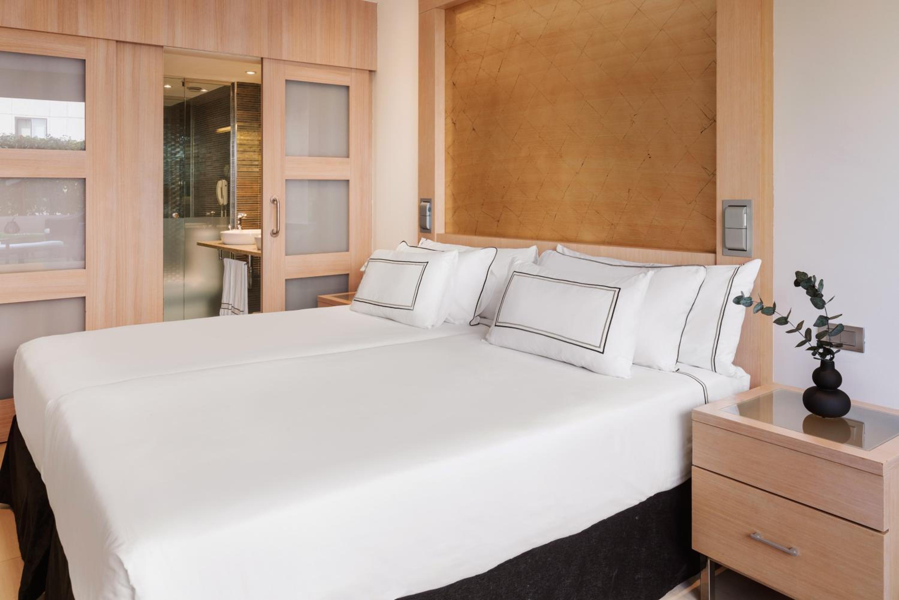 Melia Room with Terrace