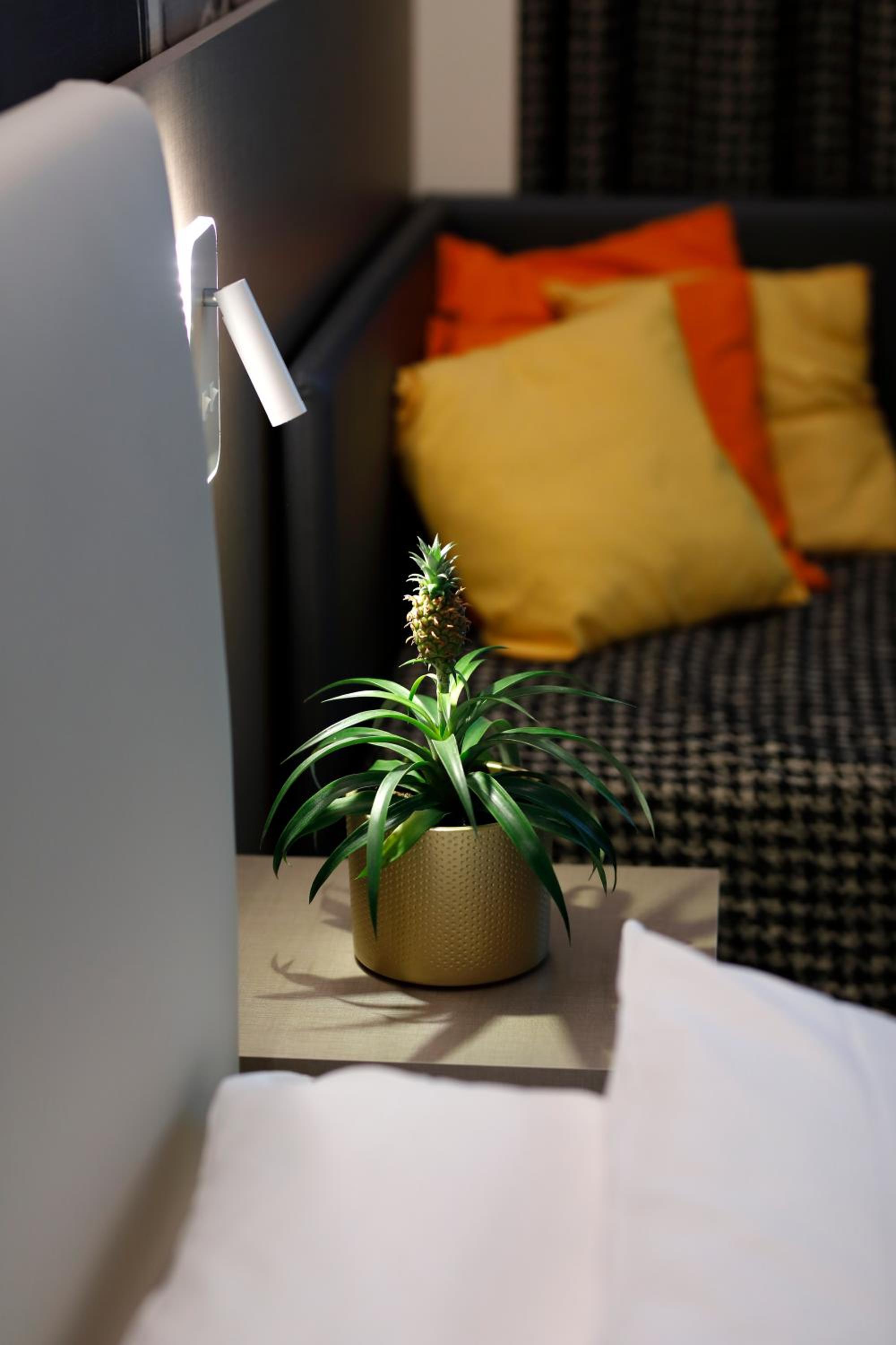 Comfort Twin Room - Photo 3