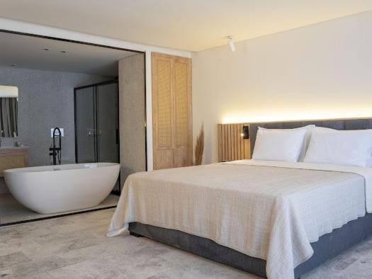 Deluxe Queen Suite