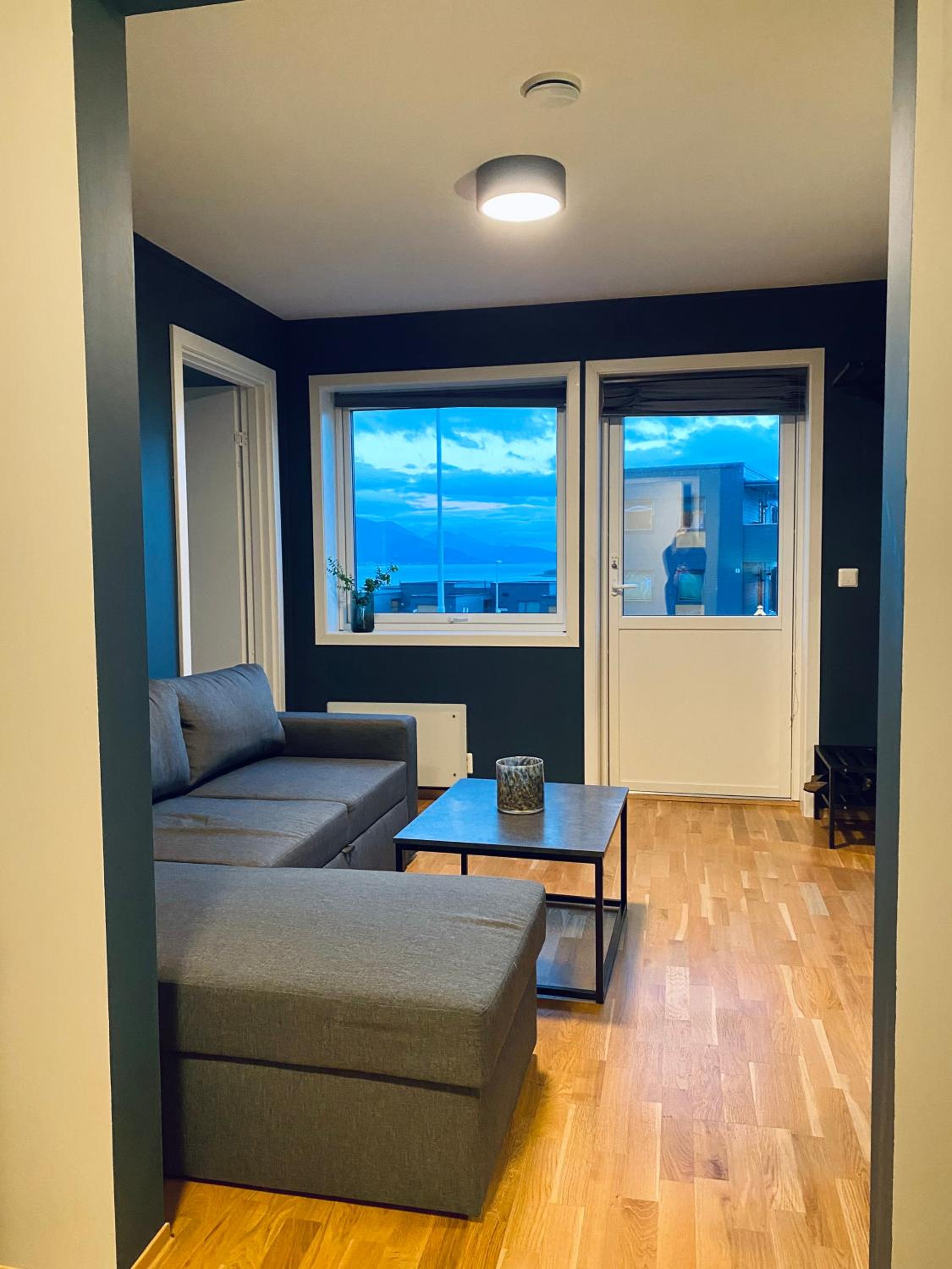 One-Bedroom Apartment photo 3