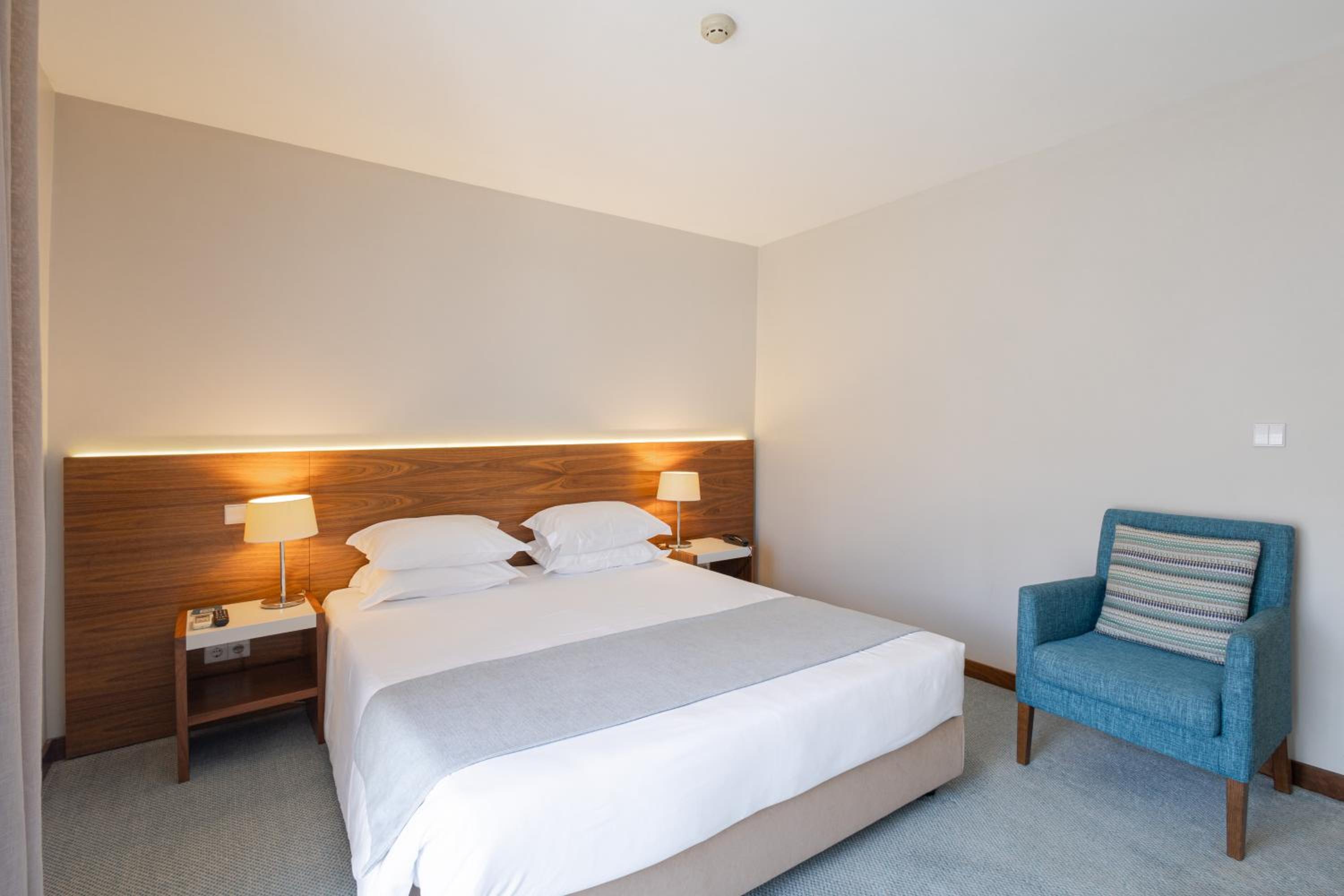 Suite - Photo 1