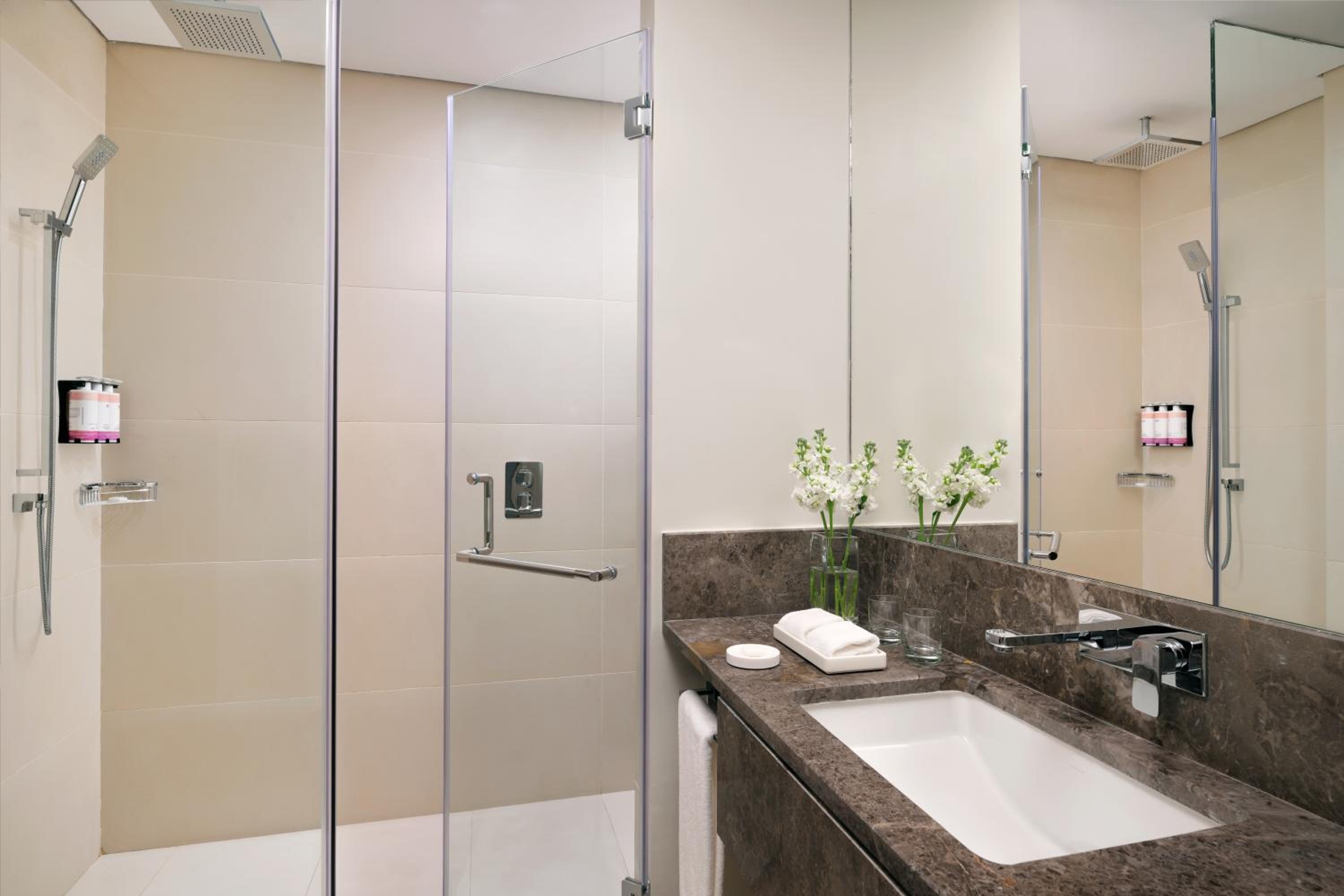 Deluxe King Suite with City Side View thumbnail 5