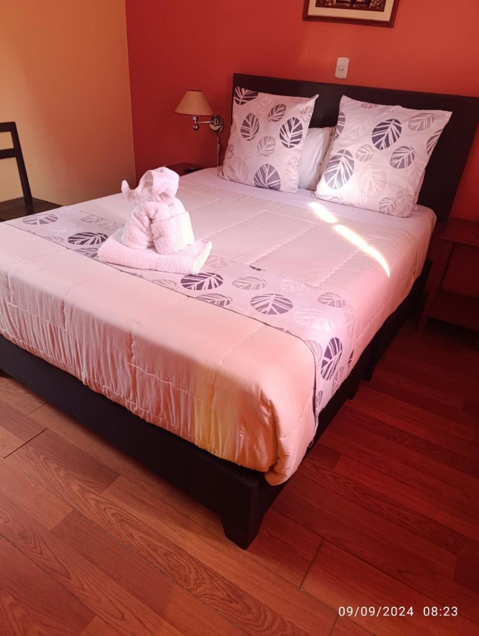 Single Room photo 1