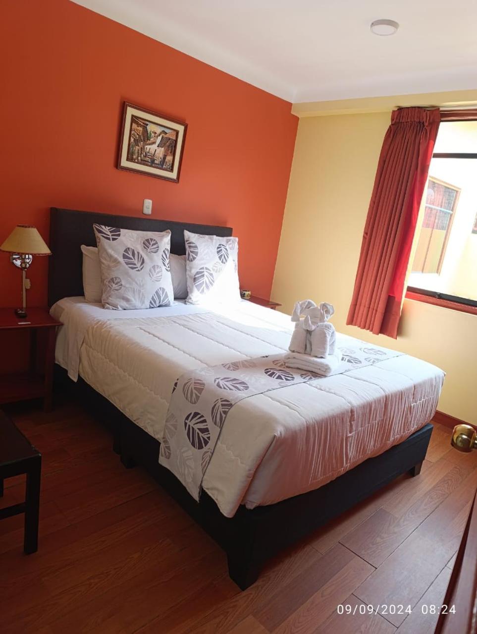 Single Room photo 2