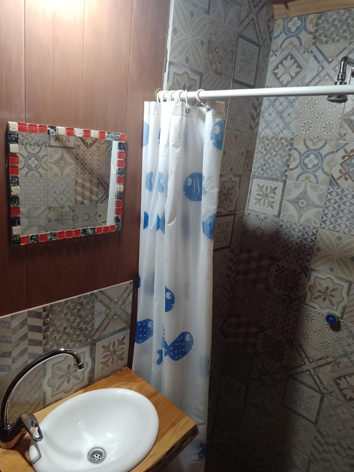 Single Bed in Female Dormitory Room photo 3