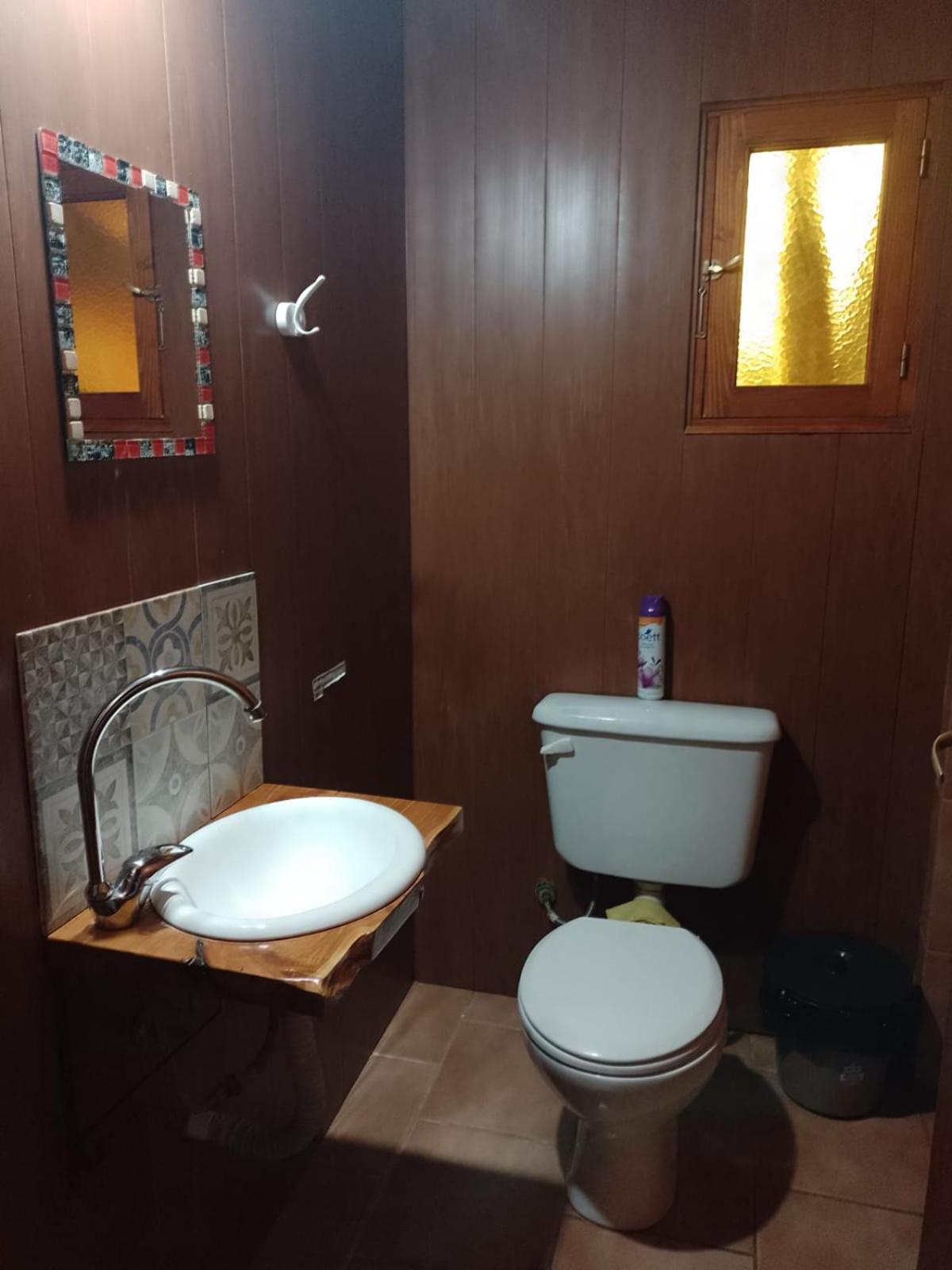 Single Bed in Female Dormitory Room photo 2