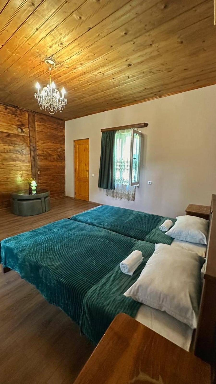 Twin Room photo 1