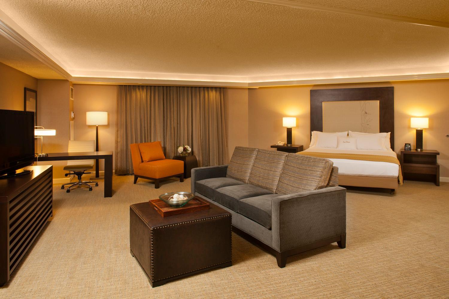 1 King Bed Studio Suite photo 1