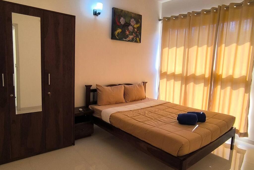 One-Bedroom Apartment photo 2