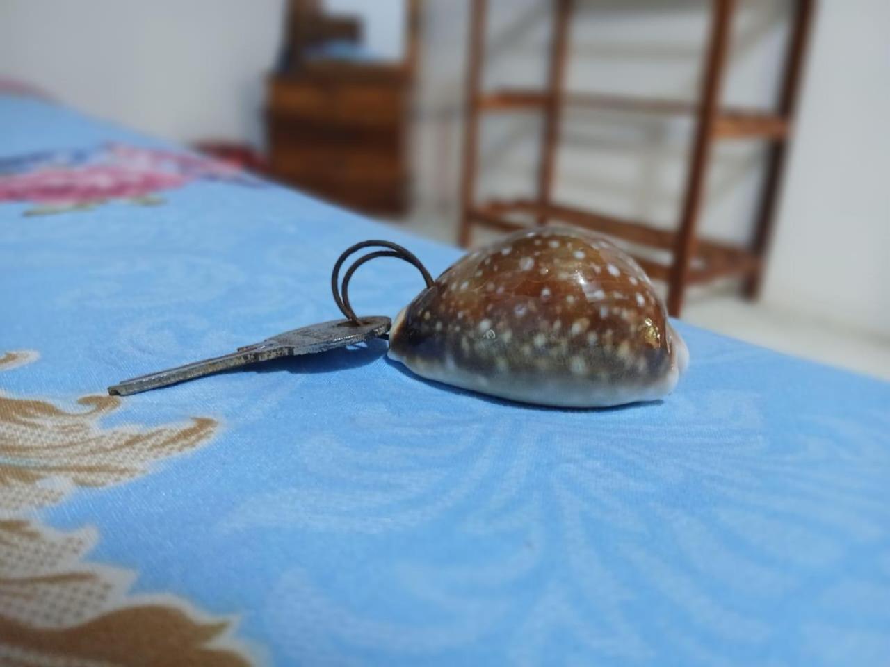 Studio with Sea View photo 1