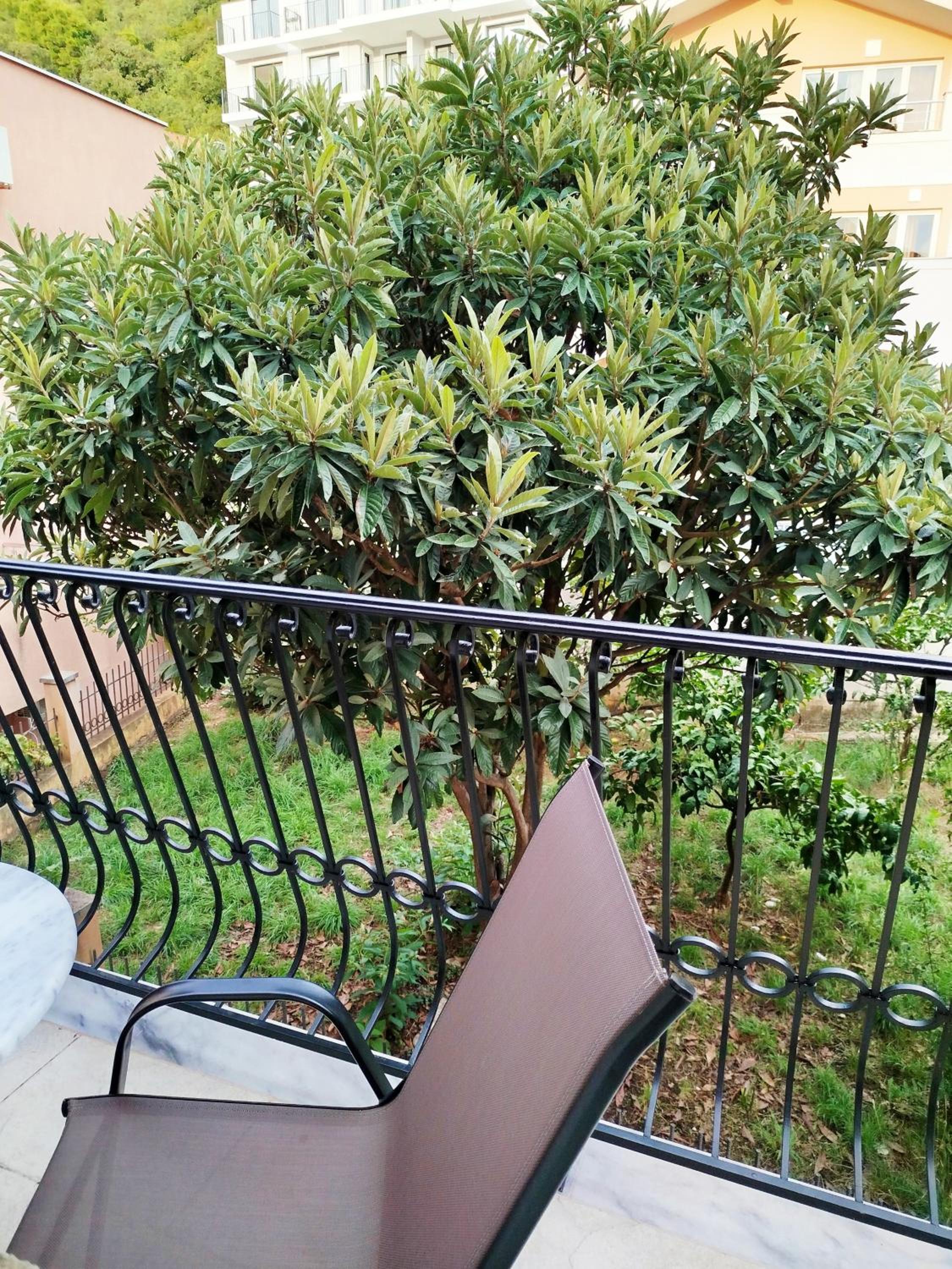 Double Room with Balcony photo 3