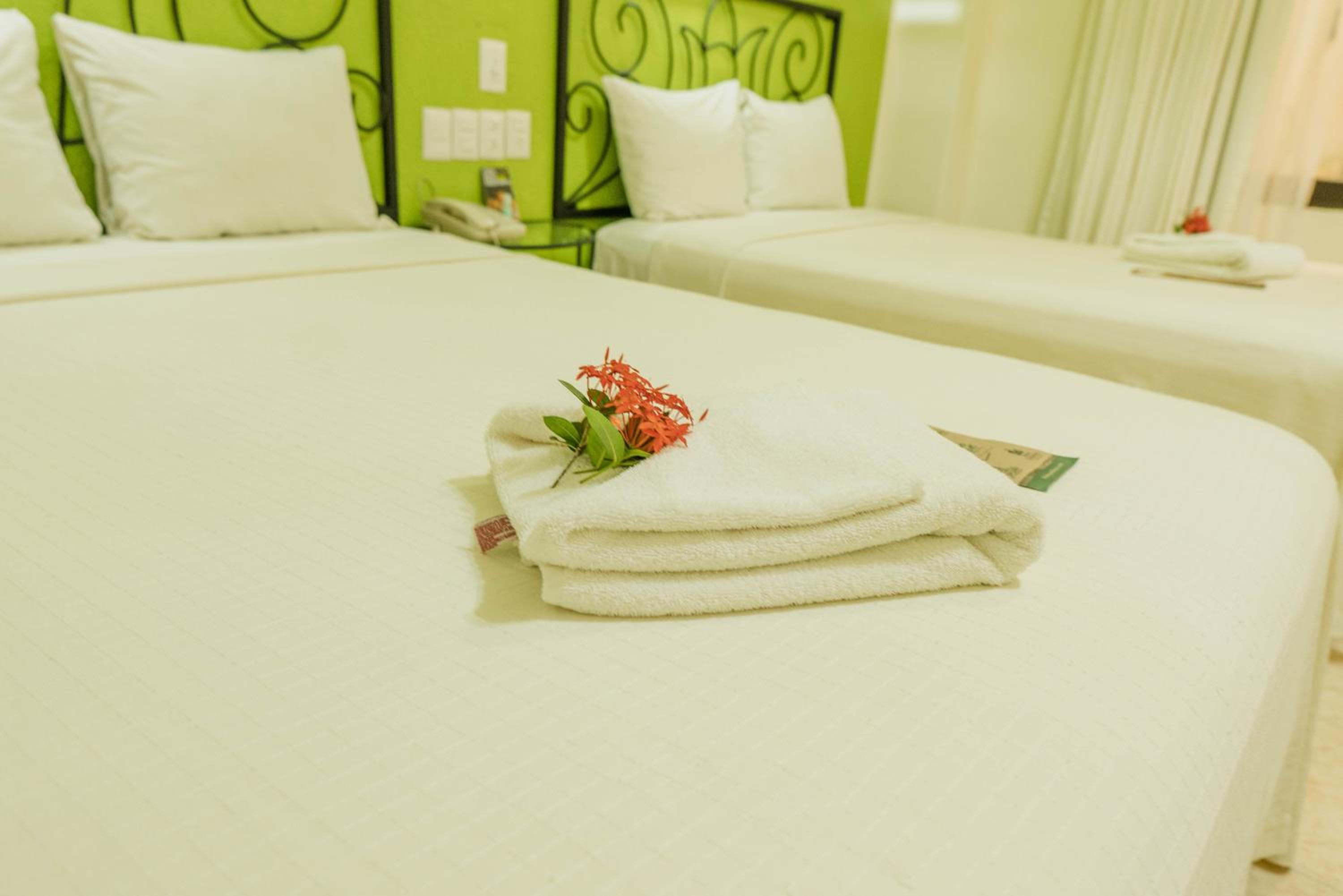 Budget Twin Room - Photo 4