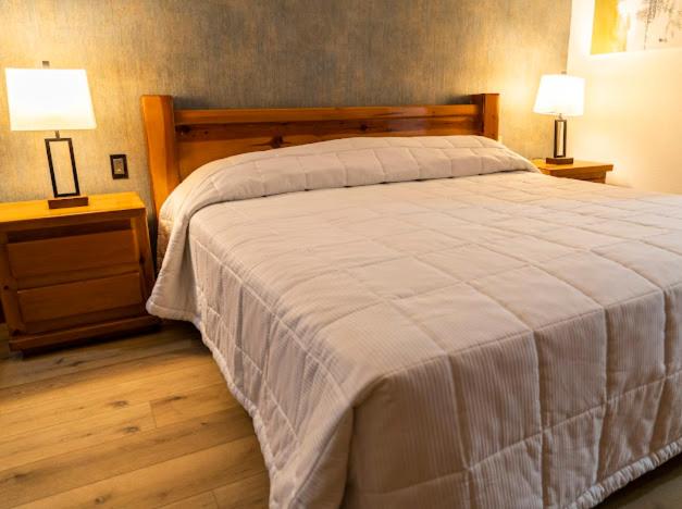 Double or Twin Room photo 3