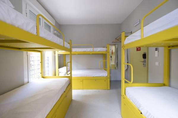 Cama en dormitorio compartido mixto de 14 camas