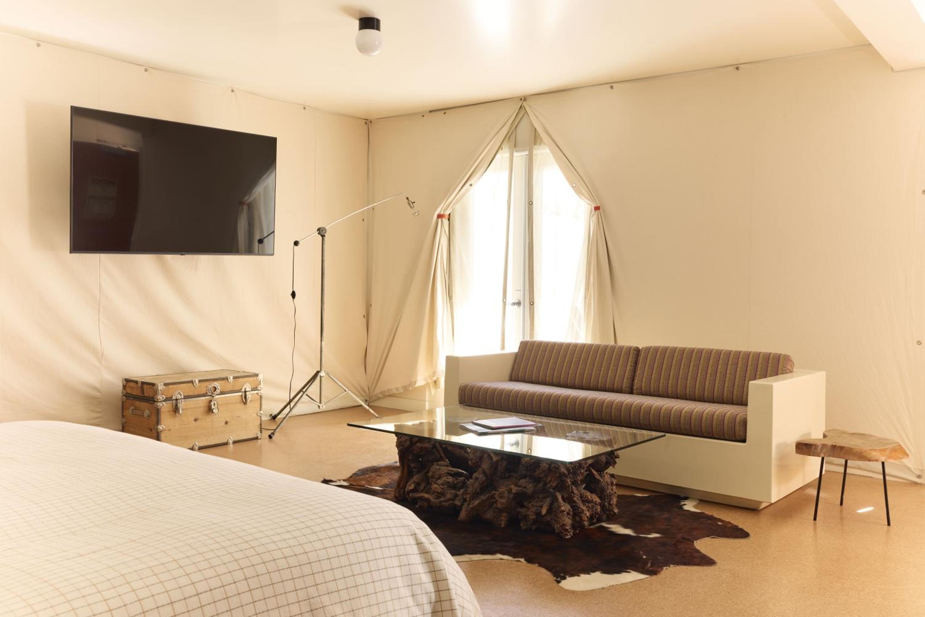 Ace Suite photo 3