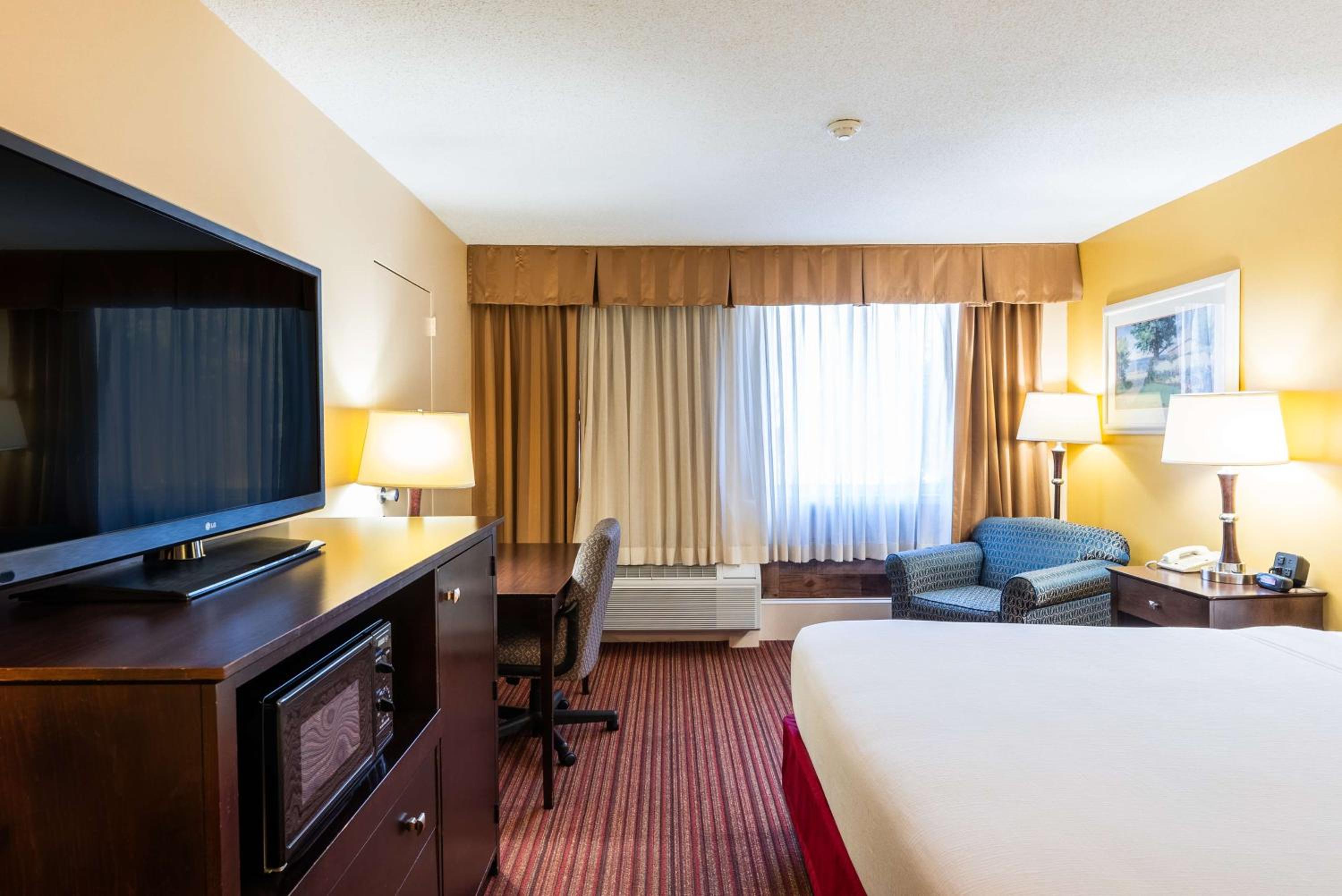 King Room - Photo 8