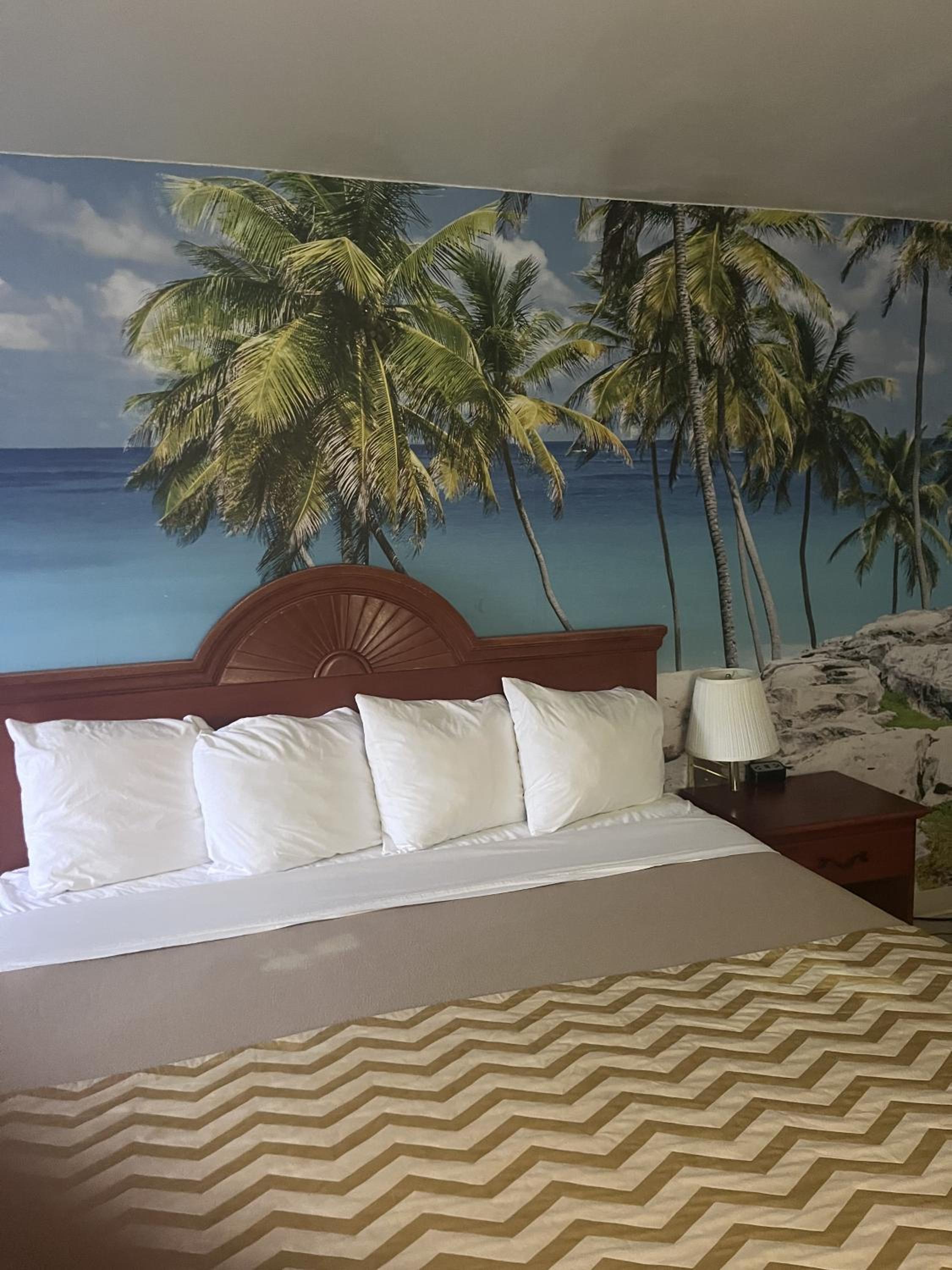 King Room - Smoking/Pet Friendly photo 1