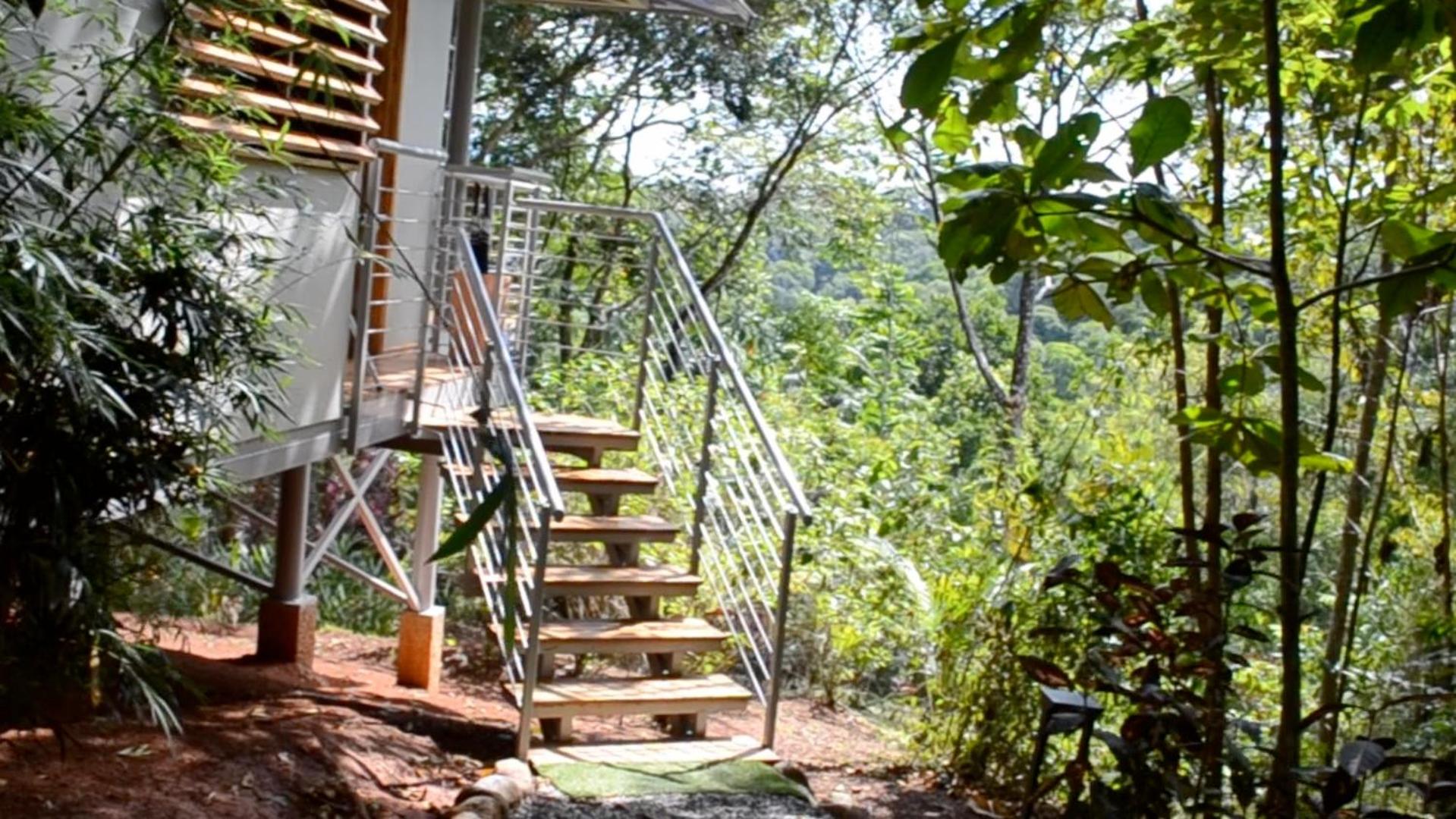 Canopy Suite photo 2