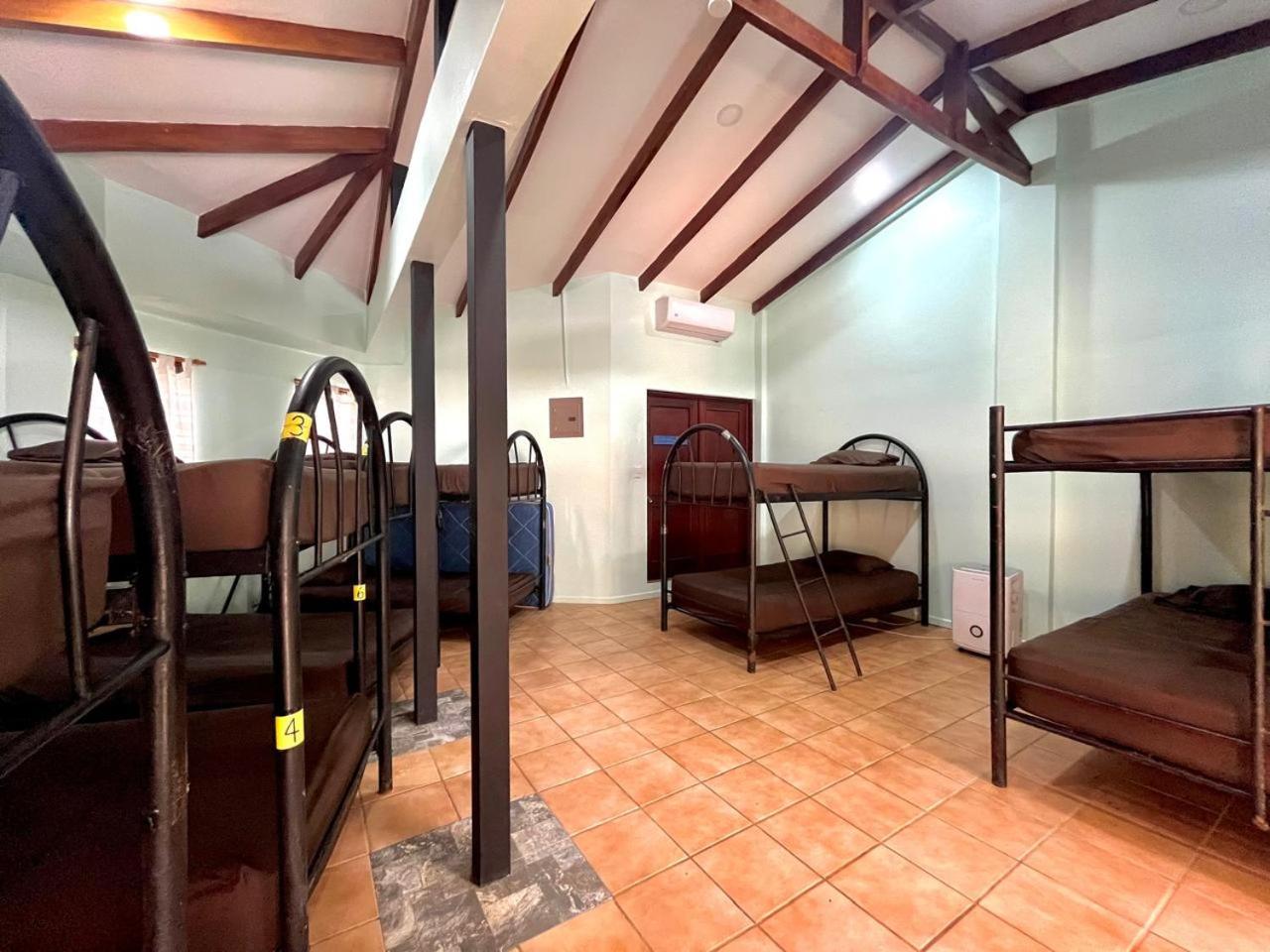 Single Bed in Dormitory Room photo 3
