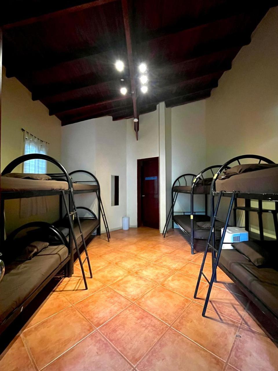 Bed in 8-Bed Mixed Dormitory Room photo 1