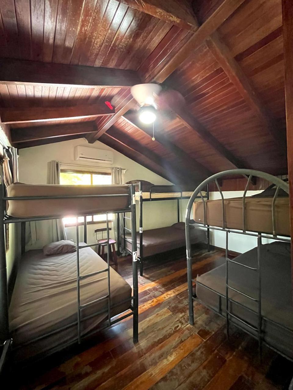 Bed in 6-Bed Mixed Dormitory Room photo 2