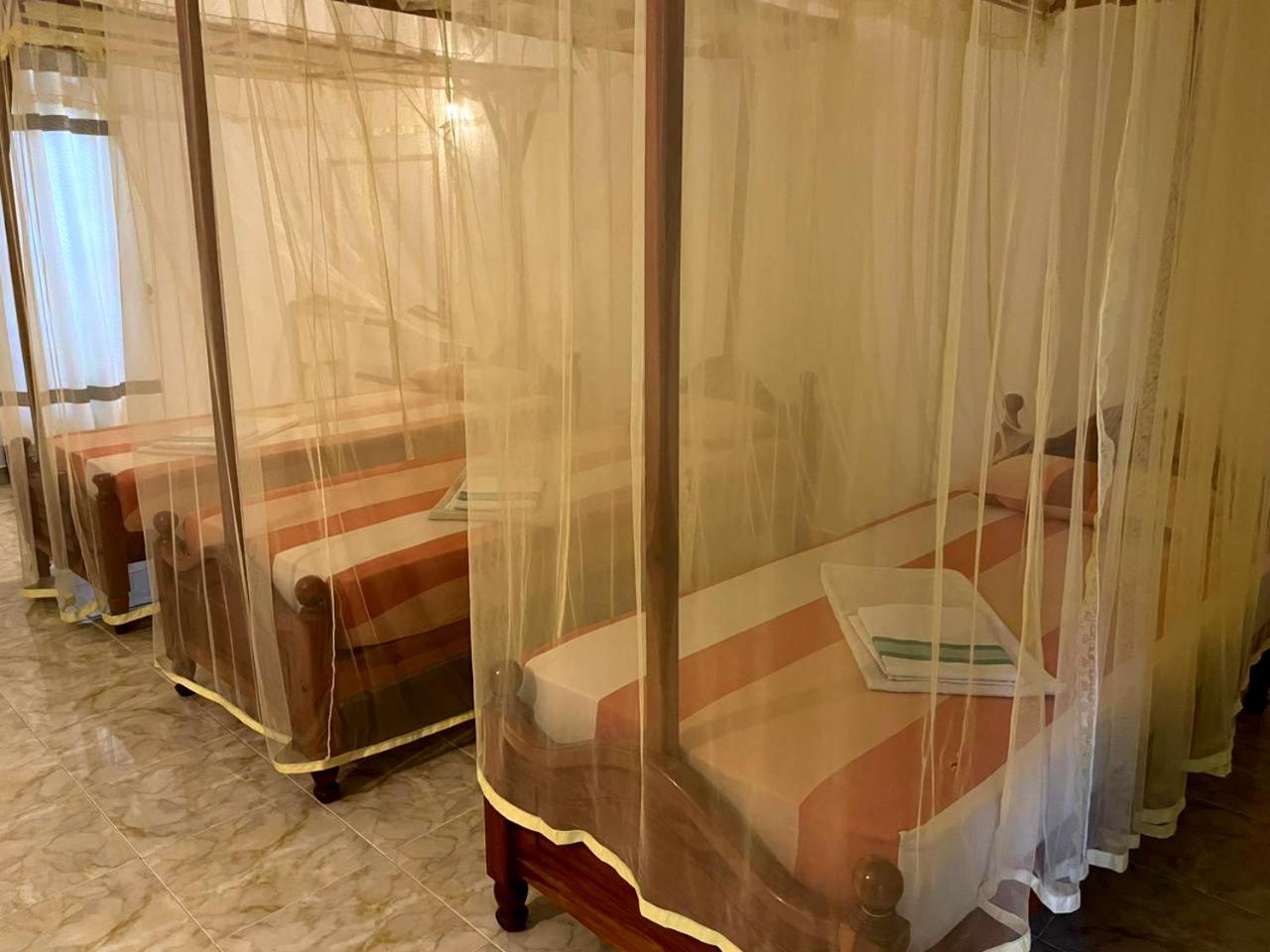 Deluxe Triple Room with Garden View photo 1