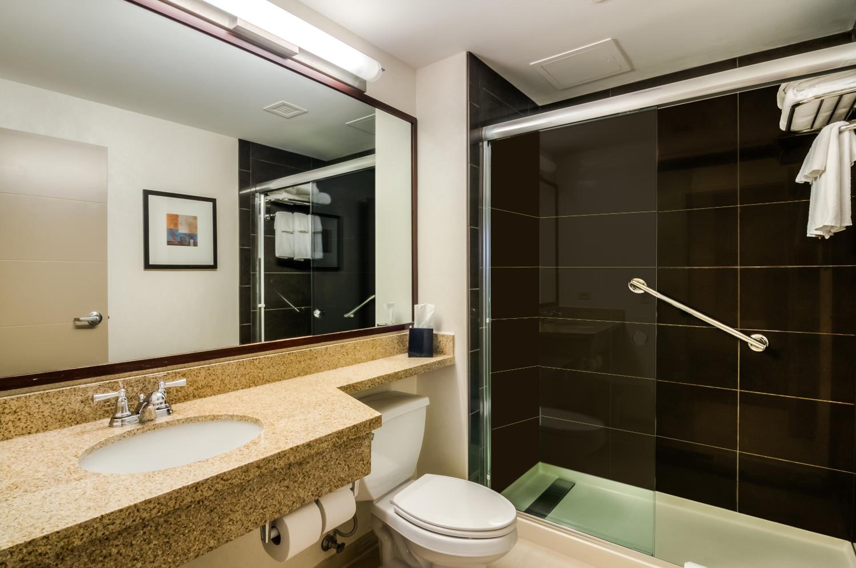One-Bedroom Queen Suite - Photo 10