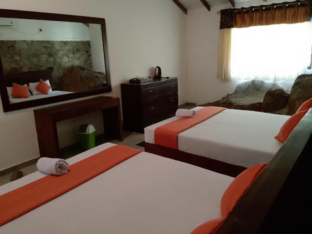 Deluxe Double or Twin Room with Mountain View photo 1