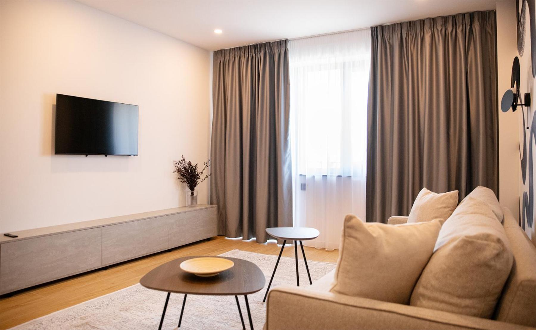 One-Bedroom Premium Apartment photo 3