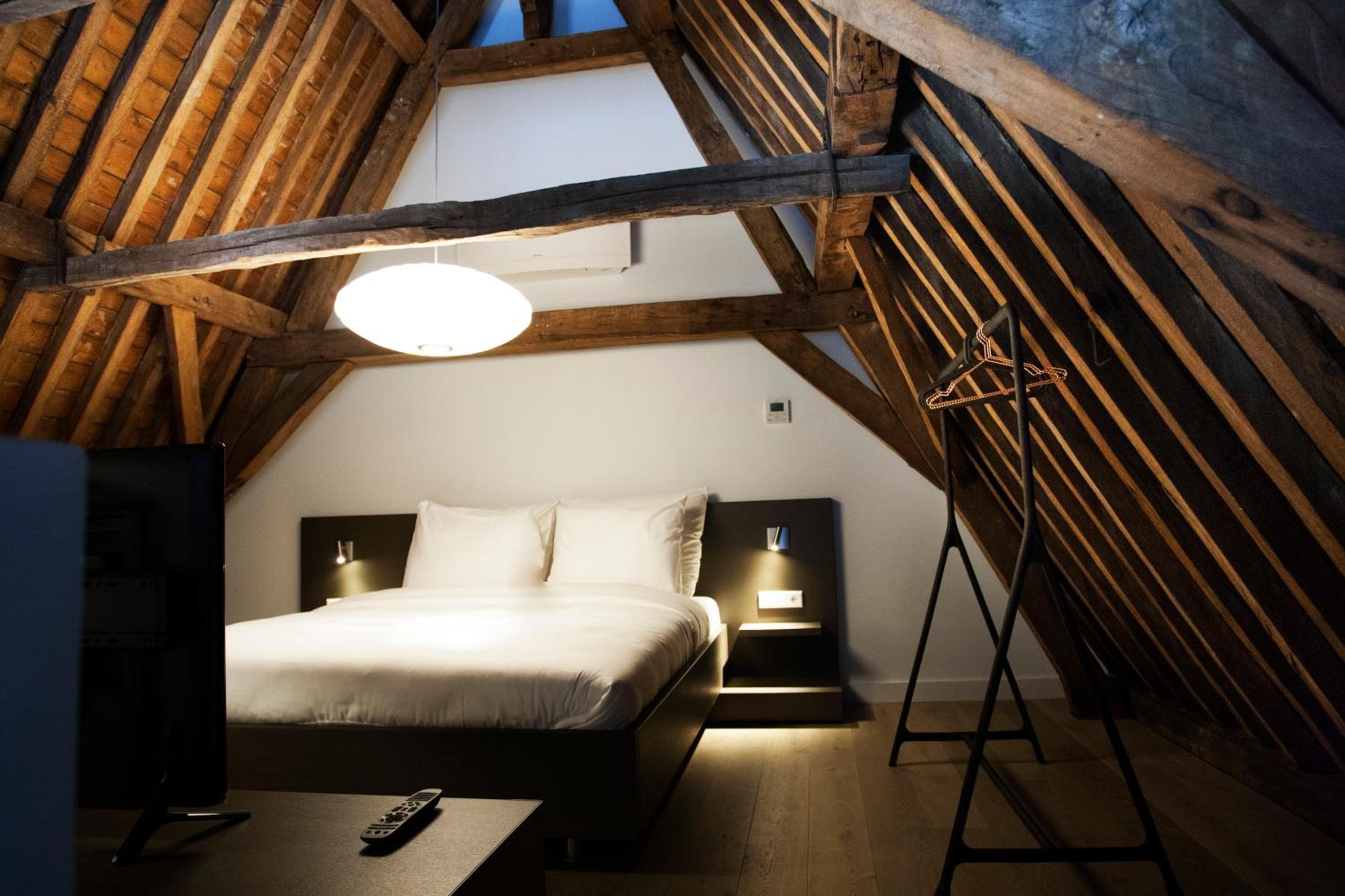 Suite - Photo 1