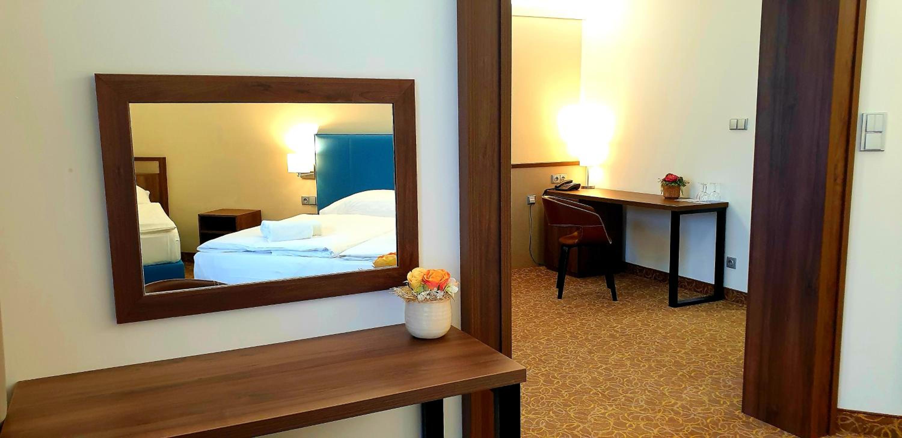 Superior Suite - Photo 5