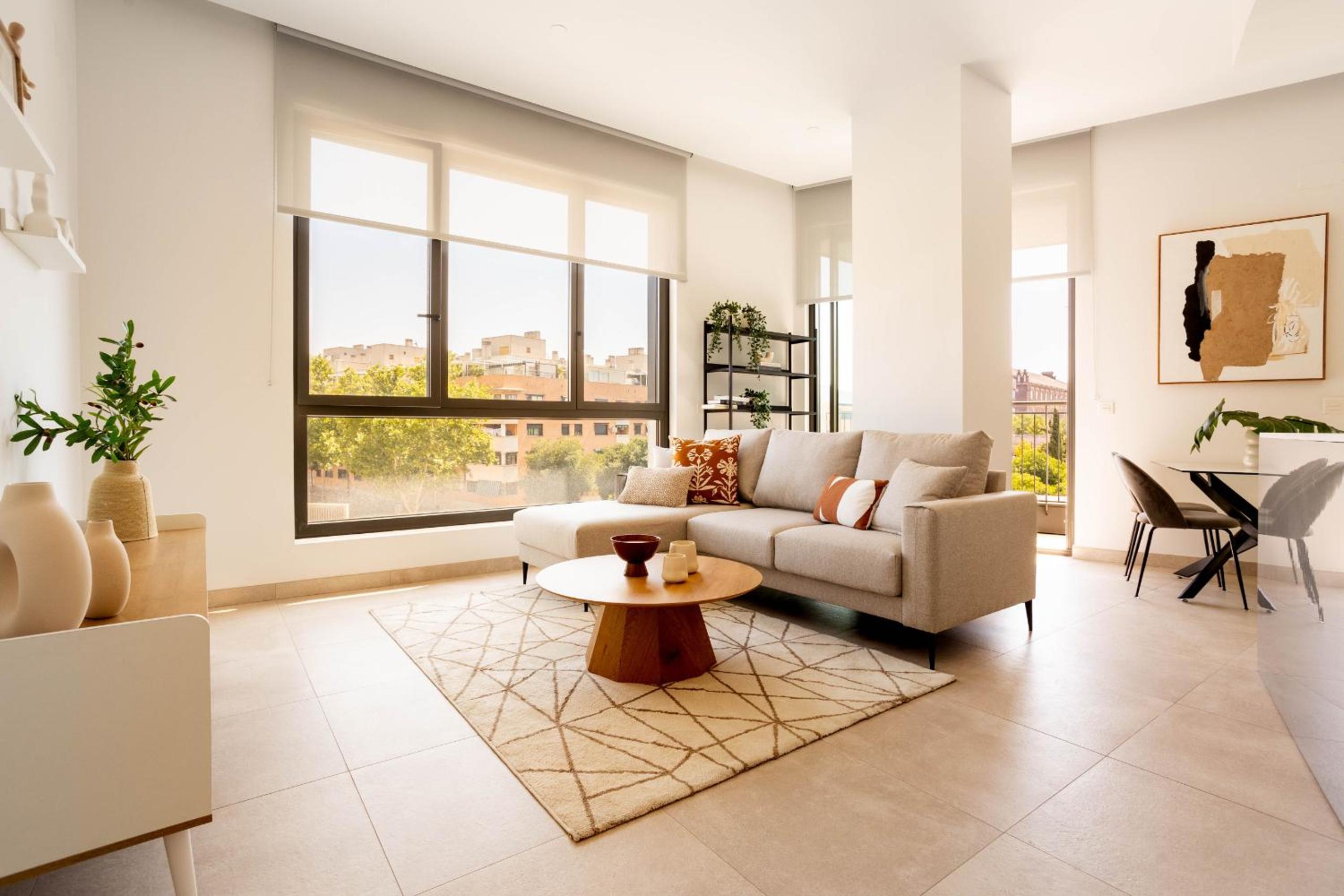 Apartamento de dos habitaciones con terraza IV