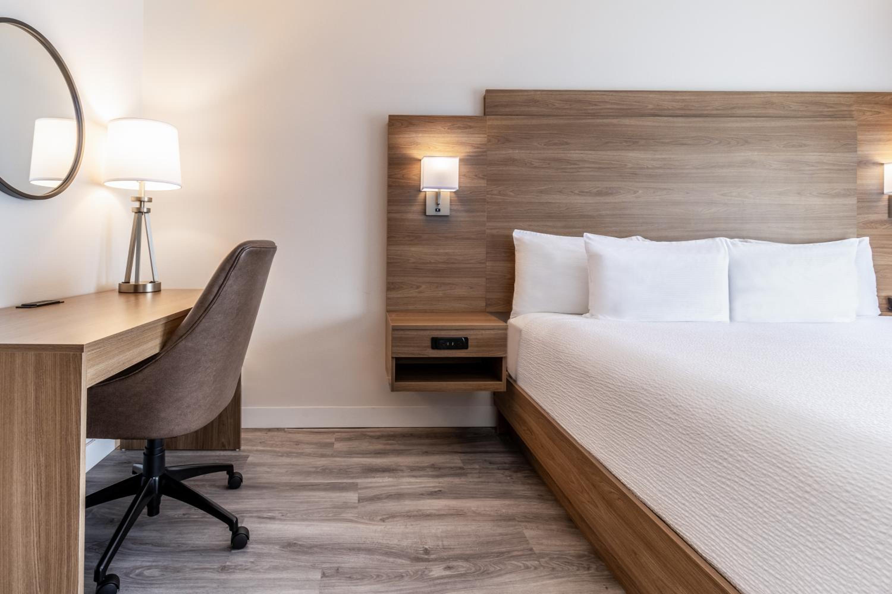 King Suite w/kitchenette & Sofa Bed - Photo 13