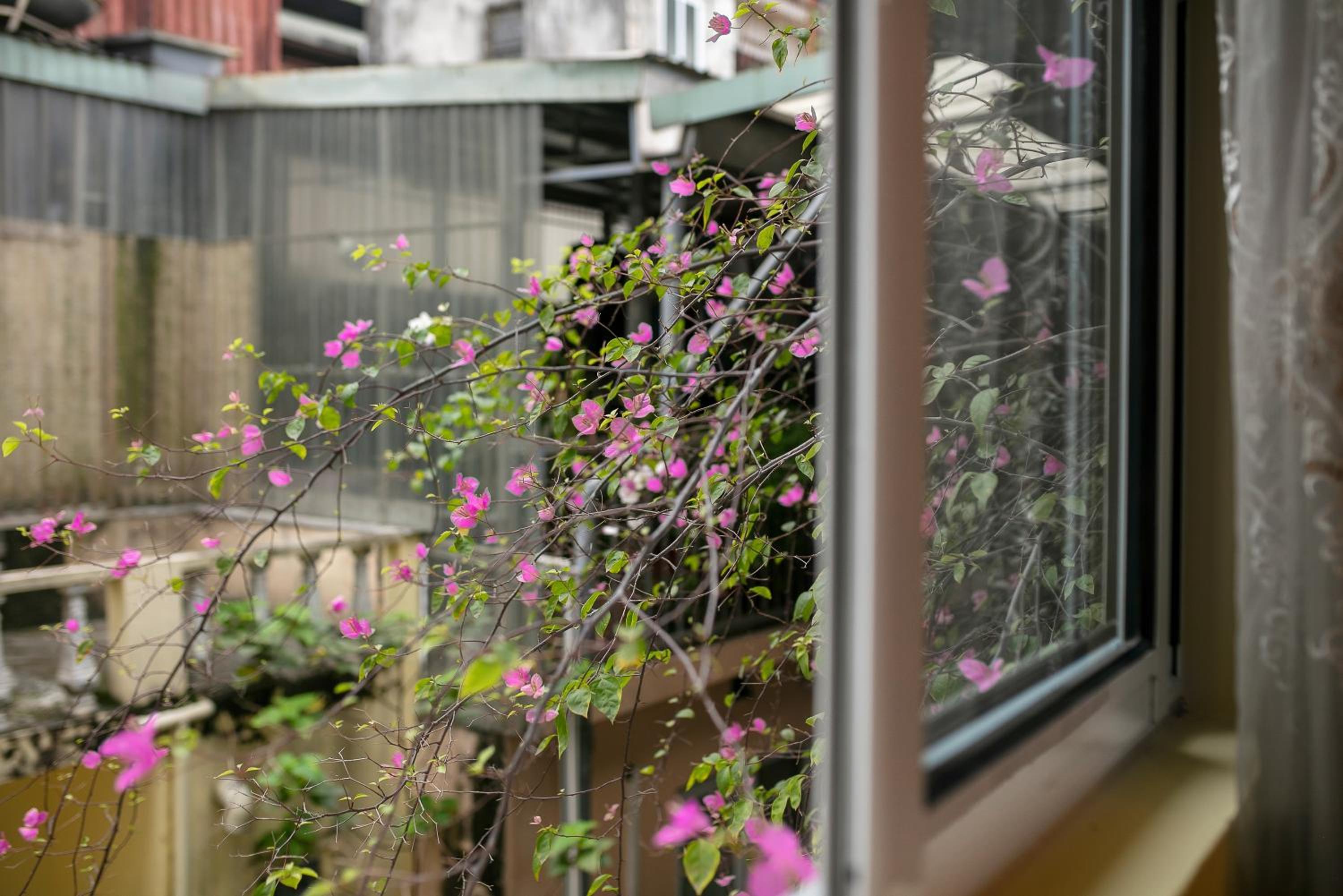 带阳台的国王房